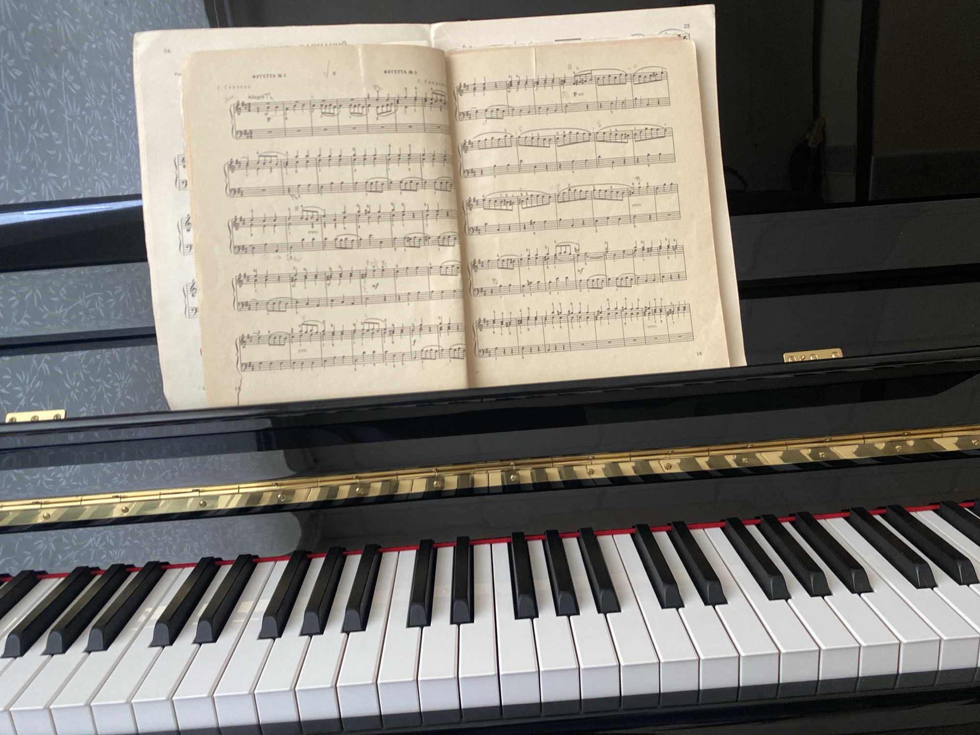 The image presents a close-up view of an open piano, situated in what is likely an indoor setting in Chaikovsky, Russia. The piano is black with a distinctive golden trim running along the panel above the keyboard. A full span of white and black piano keys is prominently displayed in the foreground, with a visible red felt strip positioned just beneath them.
Resting on the piano's music stand is an old, open sheet music book. The paper is aged and yellowed, suggesting its historical nature. On the left page, the number "24" is visible in the top corner, and the title "OYDETIA M. 3." is discernible, along with a composer's name that appears to be "C. Tsernak" or "C. Tchernay". Various musical notations are clearly visible, including tempo markings like "Allegro" and dynamic instructions such as "cresc." (crescendo), "mf" (mezzo forte), and "p" (piano). The right page of the sheet music shows the page number "25" faintly in the background, with more musical staves and notations.
To the left of the piano, a wall covered in a light gray wallpaper featuring a darker, subtle bamboo or reed pattern provides a background element. The right side of the background is dark and reflective, offering indistinct glimpses of the surroundings. The overall scene suggests a quiet, prepared environment, possibly a home or studio, ready for musical practice or performance.