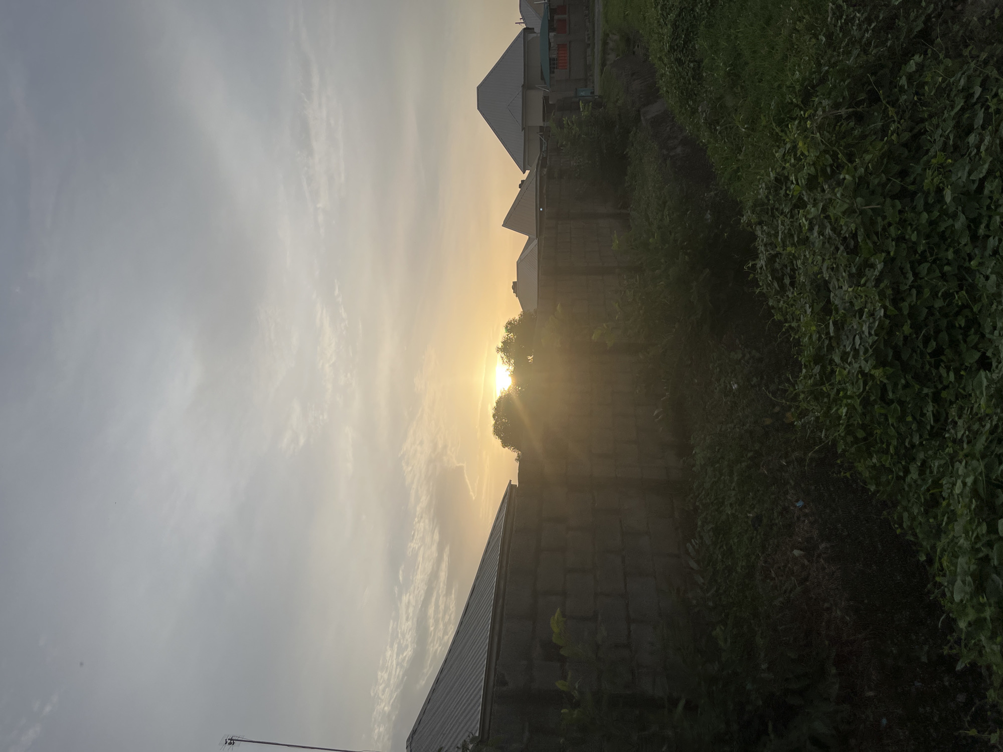 The image depicts a residential area at sunrise in Abuja, Nigeria. The sky is filled with soft, hazy clouds, with the sun a bright, golden orb peeking through, casting a warm glow and lens flare. In the foreground, a low, brick wall runs horizontally across the frame, separating a densely vegetated area from the structures beyond. The vegetation is lush and green, with some areas appearing darker and more overgrown, suggesting a natural drainage or unkempt patch of land.
Behind the wall, several houses with distinct modern architecture are visible. These houses feature corrugated metal roofs, typical of many buildings in the region. One house on the left has a sharp, angled roofline, while others further back have more conventional sloped roofs. The houses appear to be in various stages of development or maintenance, with some looking well-kept and others appearing more basic. A tall antenna is visible on the left side of the image, extending above the rooftops. The overall environment suggests a developing urban or semi-urban landscape in Abuja, characterized by a mix of residential construction and natural growth, under the soft light of early morning.