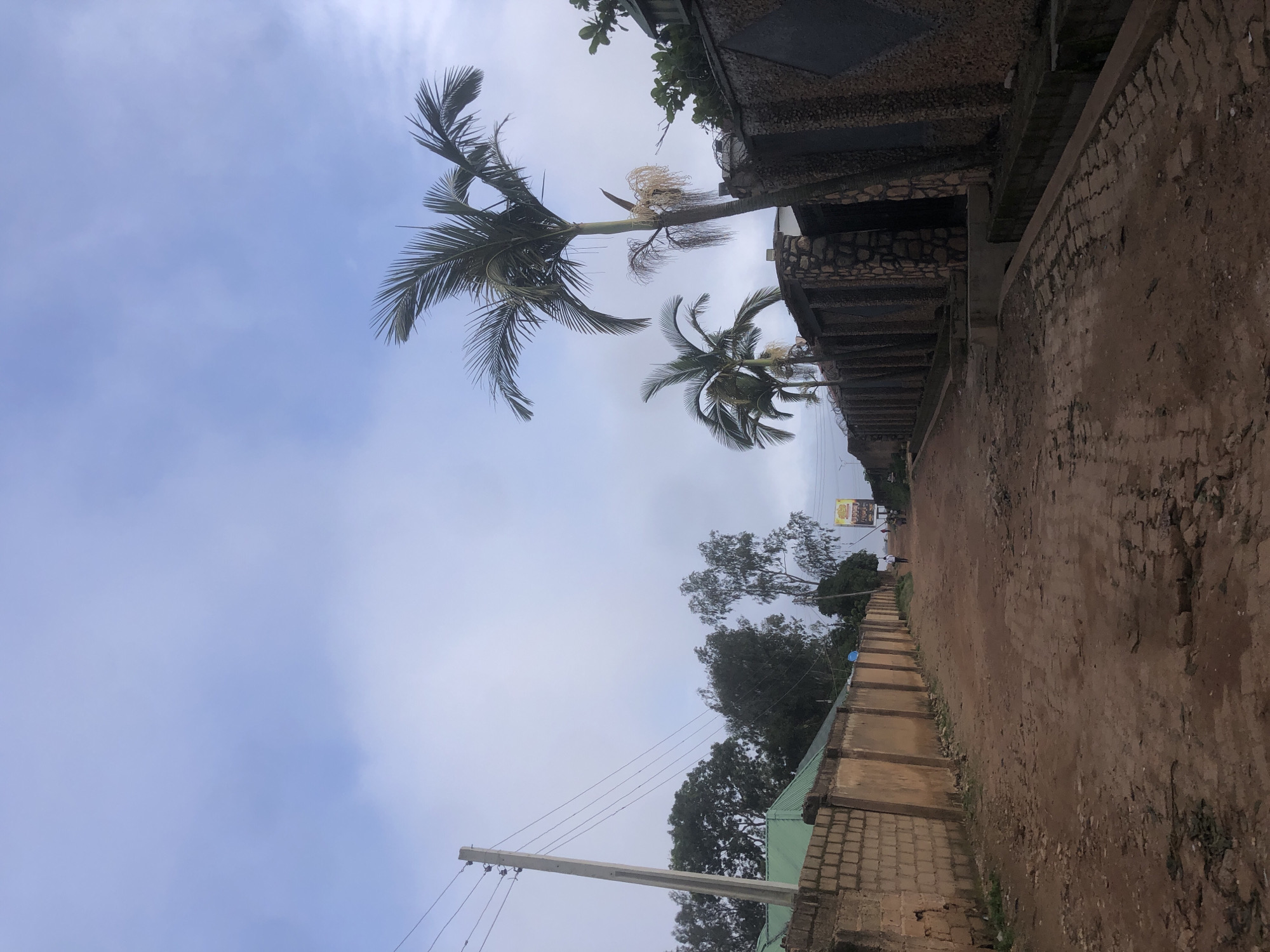 This is an outdoor, ground-level, medium shot of a dirt road in Barakin Lerawi, Nigeria. The road is lined with various walls, including a brick wall on the left and a stone-faced wall on the right. Several palm trees are visible, with one particularly tall palm tree on the right side of the road. In the distance, there are a few people walking, and a yellow billboard is present. Overhead, power lines stretch across the frame, supported by a concrete pole on the left. The sky is overcast with some visible clouds. The overall impression is of a moderately developed urban or suburban street.