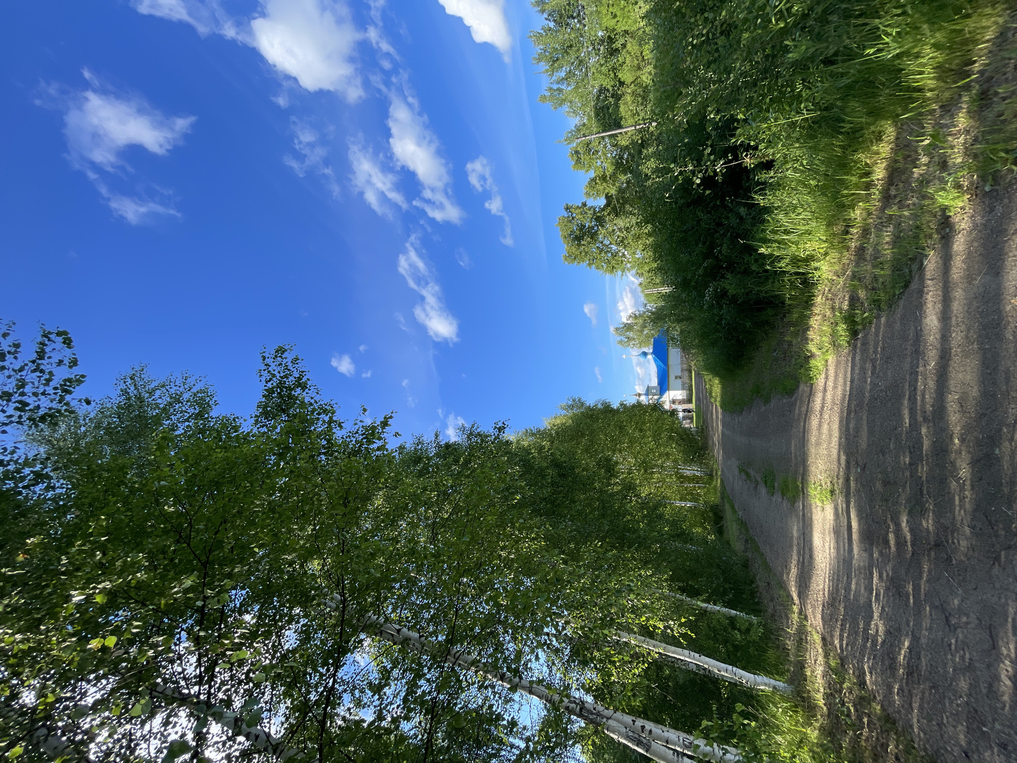 A dirt road leads through a green, tree-lined area towards a white building with a blue roof, possibly a church, in the distance. The sky is bright blue with scattered white clouds. The trees on the left are birch trees with white bark and green leaves, casting shadows on the road. The right side of the road is bordered by dense green foliage and grass. The overall scene depicts a rural or suburban landscape under a sunny sky.