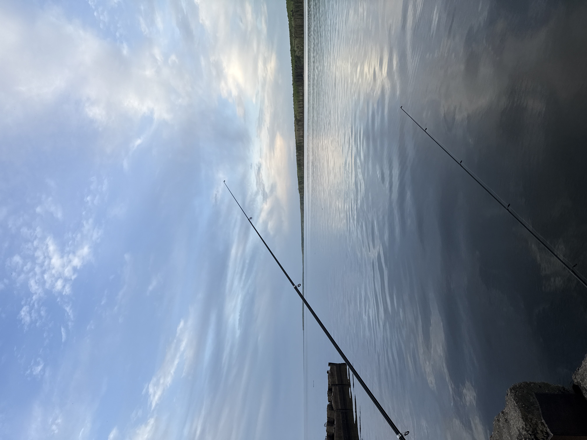 The image shows a body of water with a tree-lined horizon in the distance. Two fishing rods are visible, one extending prominently from the bottom center to the top left and another more subtly on the right side of the frame. A partially submerged, possibly wooden, structure sits near the bottom center of the image. A concrete or stone structure is on the bottom right. The sky displays scattered clouds. The location is likely Chaikovsky, Russia.
