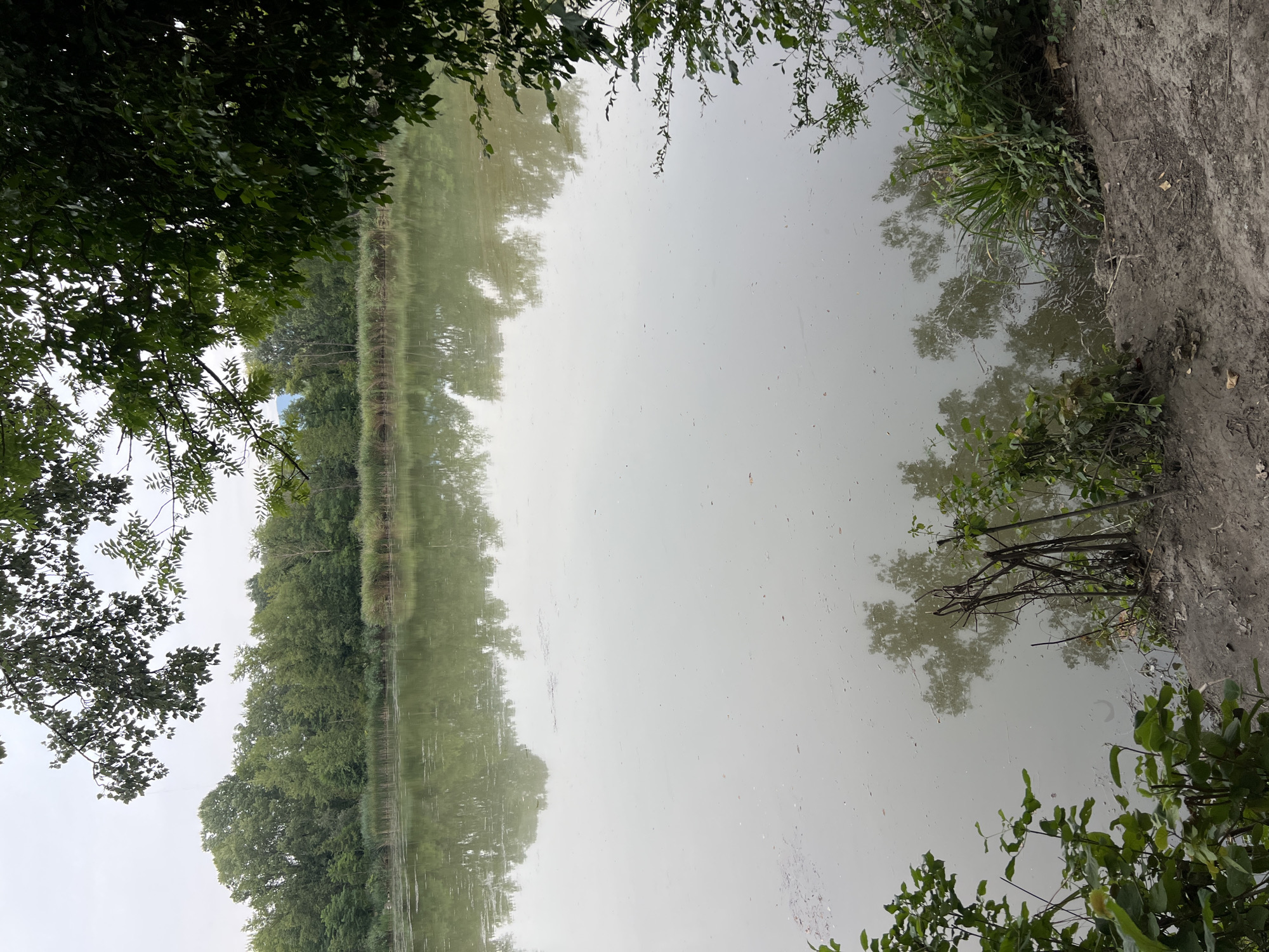 A natural scene is depicted, likely in Étrembières, France, featuring a body of water with calm, reflective surfaces. Dense green foliage from trees and bushes frames the foreground and upper edges of the image, with some branches extending over the water. A line of reeds or tall grasses is visible along the far bank, backed by a thick forest of mature trees. The sky is overcast and bright, contributing to the muted tones of the water and reflections. The ground in the foreground is composed of dirt and scattered leaves. The scene is tranquil and appears to be an undisturbed natural environment.