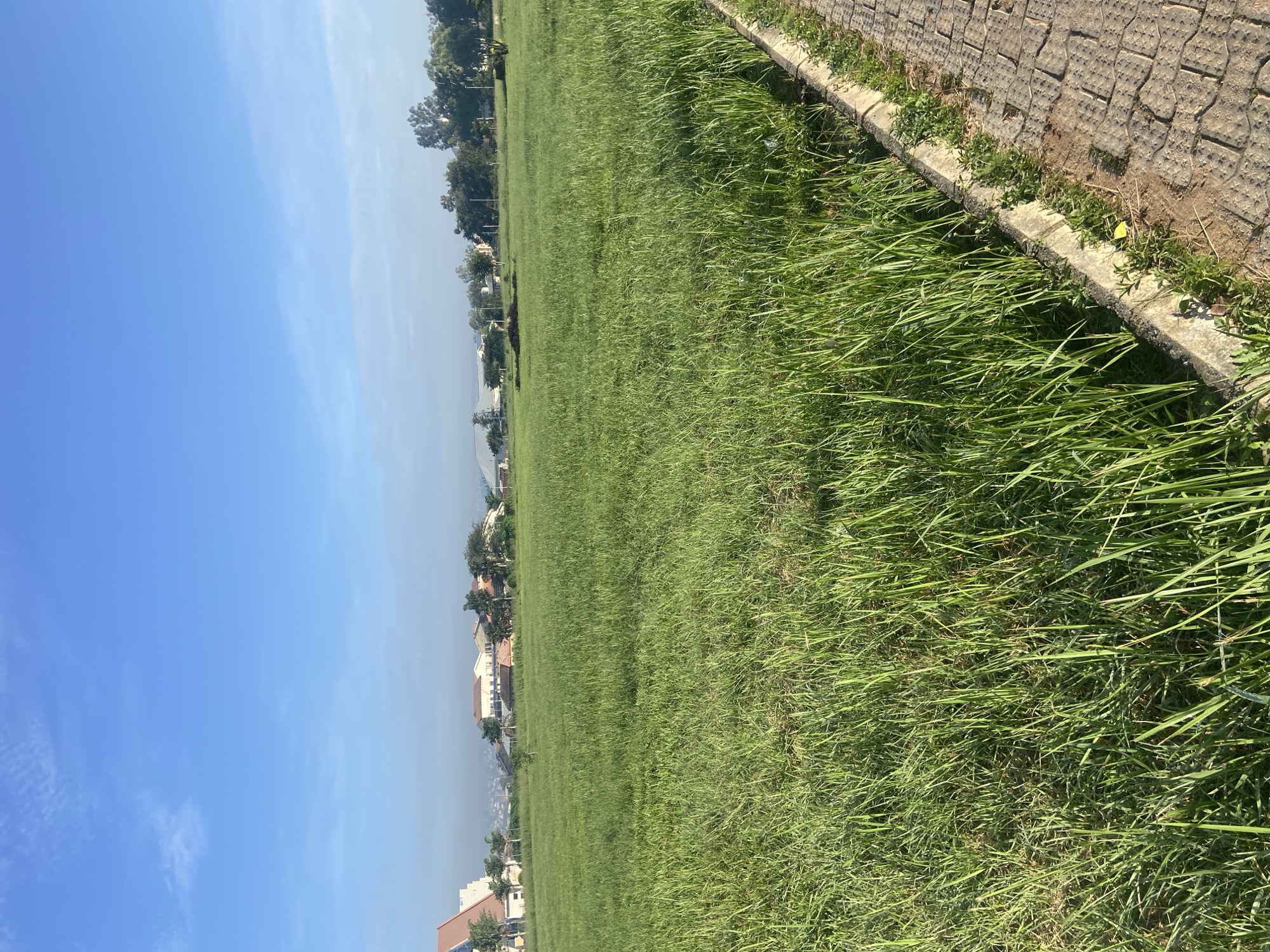 The image captures an expansive, freshly mown green field in Jos, Nigeria, bathed in the bright light of a clear, blue sky. The field is bordered on the right by a paved walkway with a concrete curb separating it from the grass. In the distance, a line of buildings and trees forms the horizon. The buildings appear to be modern residential structures. The overall impression is one of an open, urban parkland in a well-maintained condition.