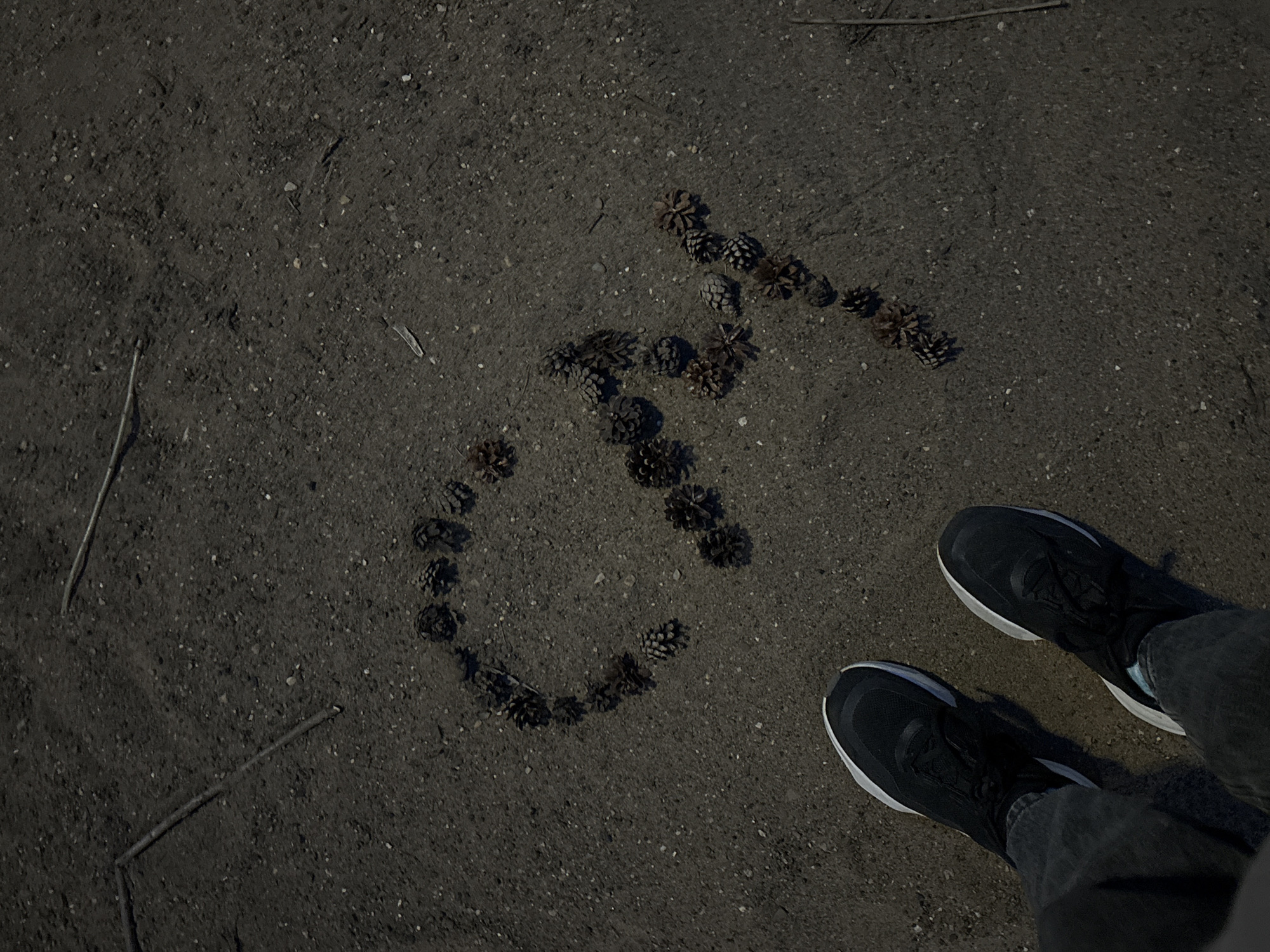 The image shows a ground surface covered in dark, granular material with scattered twigs and small rocks. Arranged on the ground, forming the Russian letters "Чай" (Chai), are numerous pine cones. A pair of black and white sneakers with gray jeans is partially visible in the lower right corner. The location is inferred to be in Chaikovsky, Russia, based on the text depicted by the pine cones. The scene suggests a deliberate arrangement of natural materials on the ground near where someone is standing.