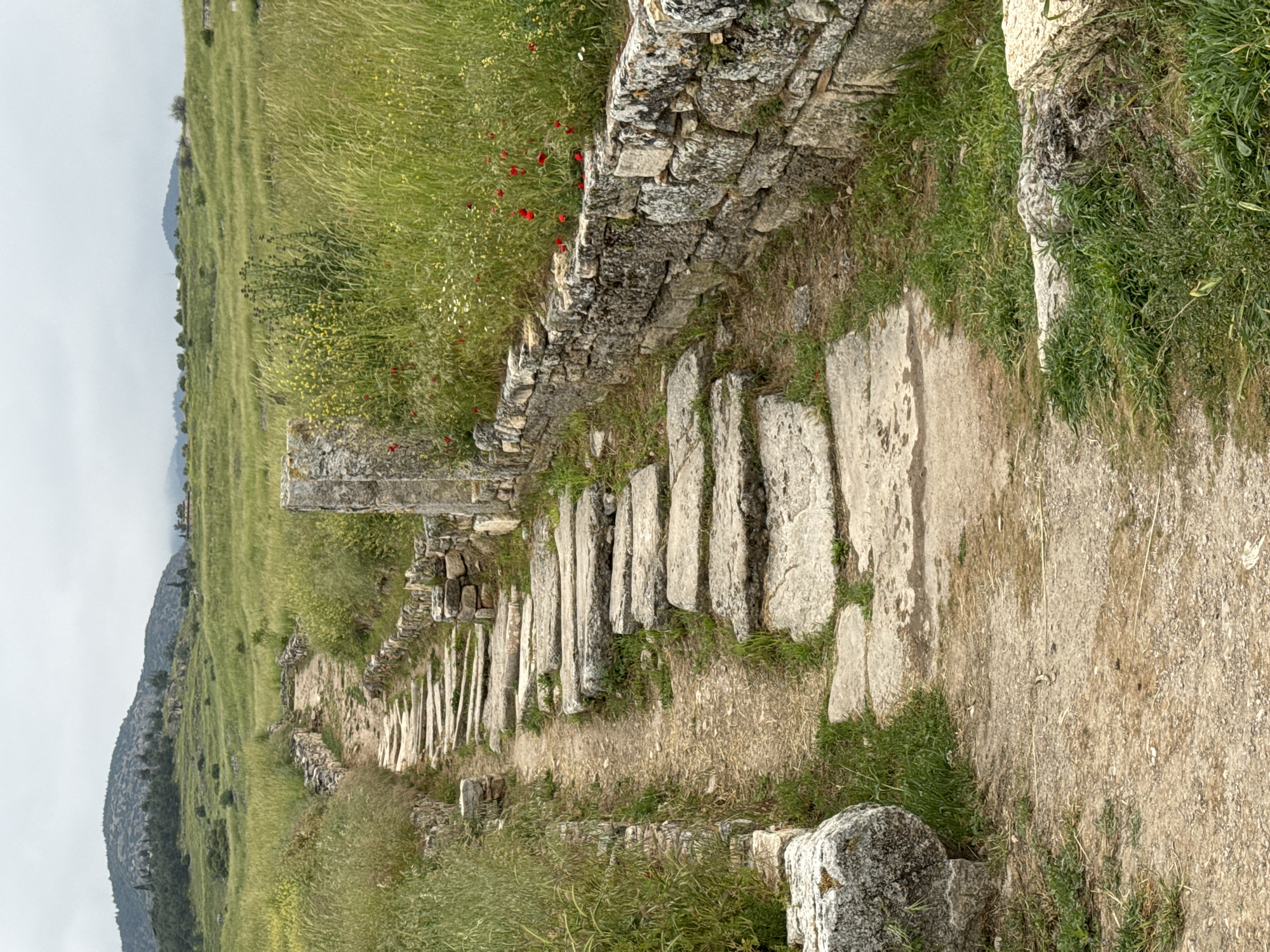 The image shows a stone path at the ancient city of Hierapolis, near Pamukkale, Turkey. The path is composed of large, rectangular stone slabs and is lined on both sides by low stone walls and grassy areas. The stone path appears to be a former road within the ancient city. The background includes a grassy hillside and a mountain range. The weather appears to be overcast.