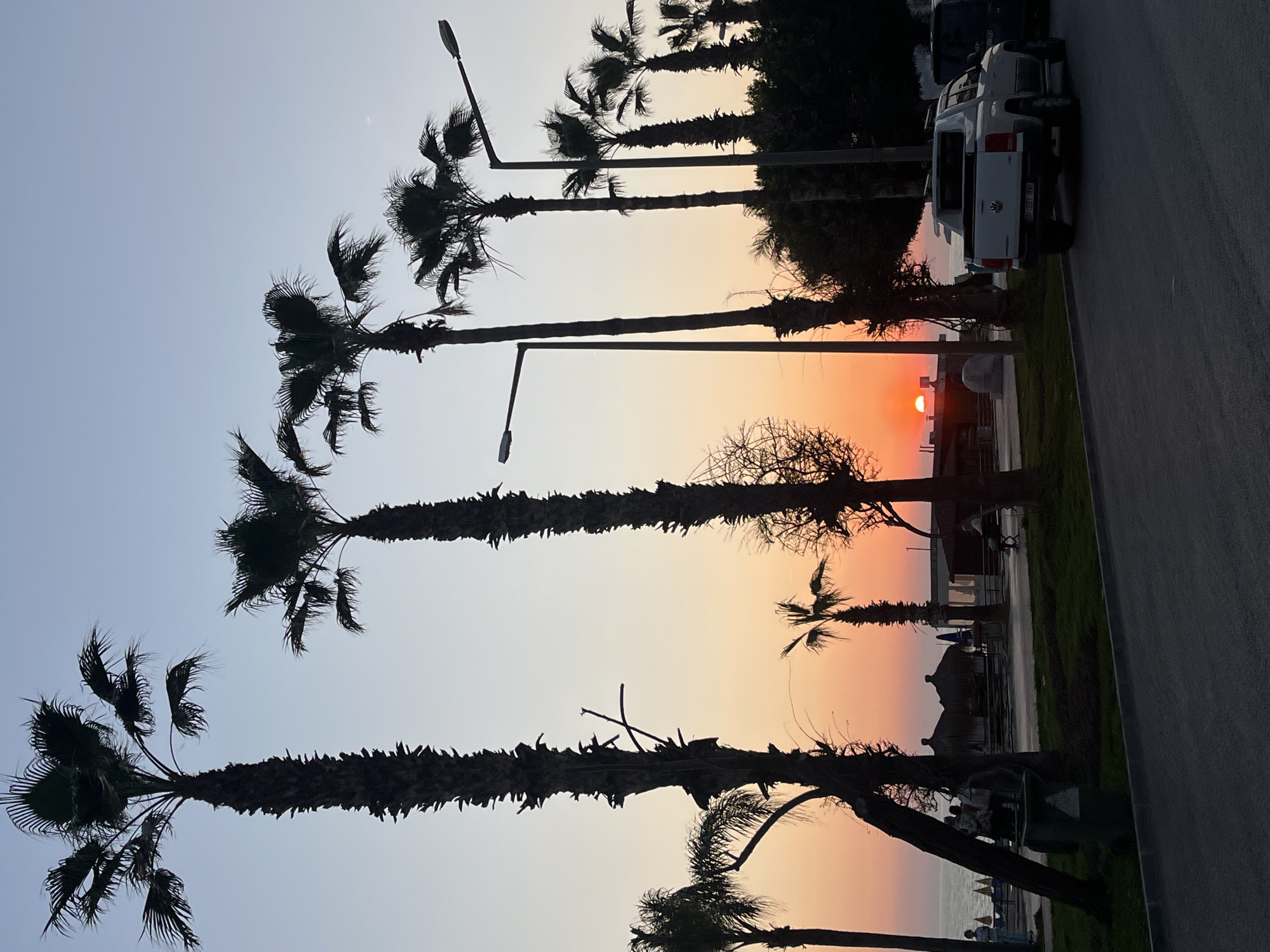 The image depicts a sunset scene in Alanya, Turkey, characterized by a row of silhouetted palm trees along a road. The sky exhibits a gradient of colors, transitioning from light blue to orange near the horizon where the sun is setting. Streetlights are positioned among the palm trees. A parked white VW pick-up truck is visible on the right edge of the frame. In the background, hints of beach structures and possibly people can be discerned. The road occupies the right foreground. The overall ambiance is one of dusk settling over a coastal urban landscape.
