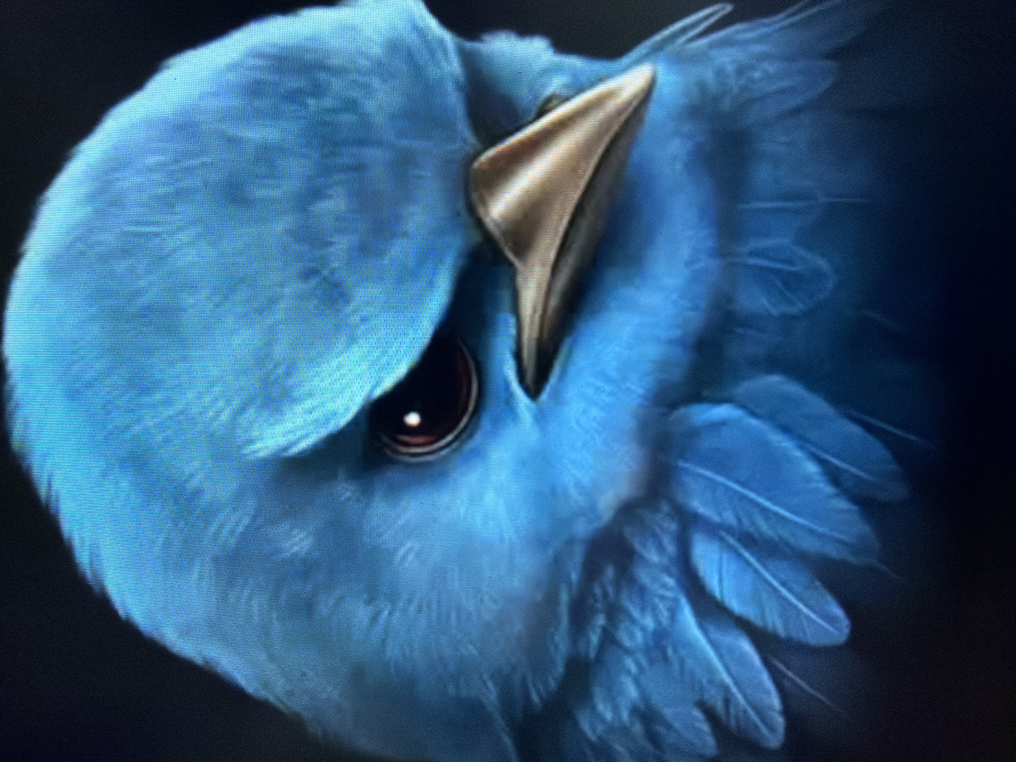 This is a close-up, digitally rendered image of a blue bird. The bird is facing left, with its head tucked in towards its body and its beak partially closed. Its eye is large and dark with a reddish-brown iris and a bright white highlight. The beak is a light tan color with darker shadows, appearing to have a smooth texture. The bird's feathers are a vibrant blue, with individual feather details visible, especially on its wing where it is tucked against its body. The background is dark and out of focus, creating a strong contrast that makes the bird stand out. The lighting suggests a soft, diffused light source. The overall impression is one of a peaceful, perhaps sleepy or contemplative moment for the bird. No text is visible in the image.