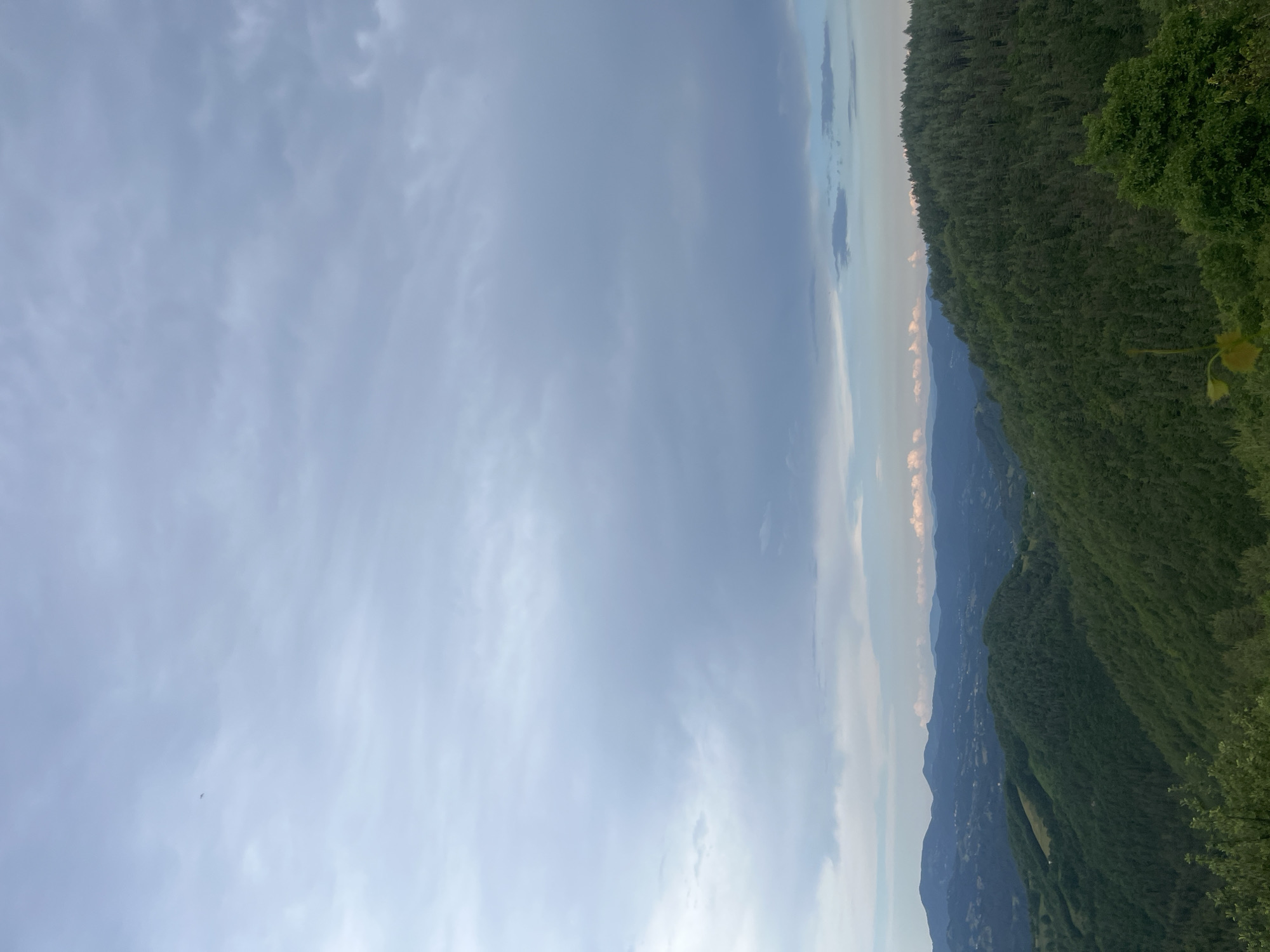 This is a photograph of a vast, rolling green landscape, likely taken from a high vantage point. The foreground is dominated by lush green trees and foliage. Beyond this, the midground consists of a series of hills covered in dense forest. The distant background reveals multiple layers of mountains, fading into a hazy blue and purple gradient. The sky above is overcast with a mixture of gray and white clouds, with a hint of pinkish light suggesting either dawn or dusk. There are no people or man-made structures clearly visible in this natural scene. The image captures a sense of expansive, natural beauty.