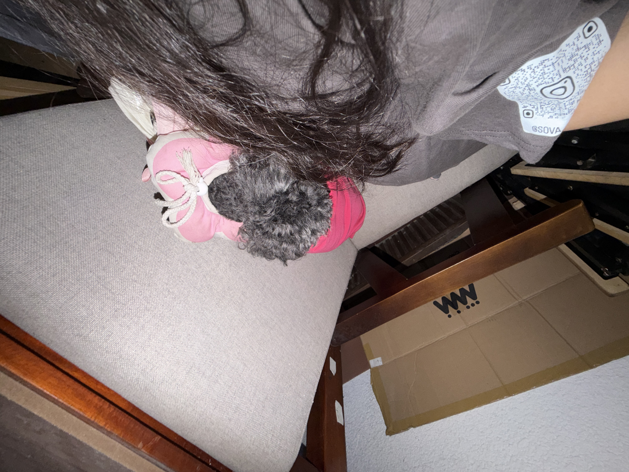 An overhead shot captures a person with long, dark hair and a small, dark gray dog, likely a poodle or similar breed, within an indoor setting. The person is wearing a gray t-shirt, and their hair falls over a light gray upholstered surface, possibly a sofa or bed cushion. The dog is nestled on this surface, wearing a pink outfit or harness with white laces or ties. Its curly dark fur is prominent.
The perspective is looking down, showing the person's right arm and torso, with a portion of their t-shirt visible. On the t-shirt, there is a white graphic featuring a QR code, an avocado-shaped icon, and the text "@SOVA". Below the upholstered surface, a wooden furniture frame, possibly a bed or sofa, is visible. Beneath this frame, a cardboard box is placed on what appears to be a light-colored floor or wall. The box bears a black "WW" logo with three dots underneath. The lighting is dim, suggesting an indoor environment, possibly at night or with limited artificial light. The scene implies a close interaction or shared space between the person and the dog. The location context for this media file is Đà Nẵng, Vietnam.