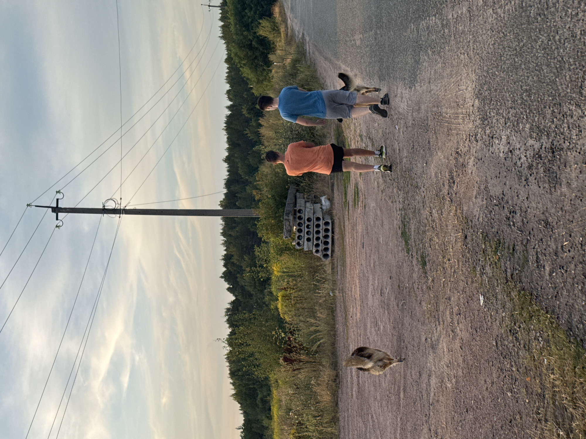 In an outdoor scene, two young adult males walk along a dirt road. One male, wearing an orange t-shirt and black shorts, walks ahead of the other, who is wearing a blue t-shirt and grey shorts. A dog, with tan and brown fur, walks with the males. The environment is rural, with a dense forest bordering the road in the distance, and tall grass and weeds growing alongside the dirt path. Several concrete slabs are stacked to the left of the road. Overhead, power lines stretch across the sky, supported by a concrete pole. The sky is overcast with scattered clouds, and the lighting suggests it is either early morning or late afternoon.