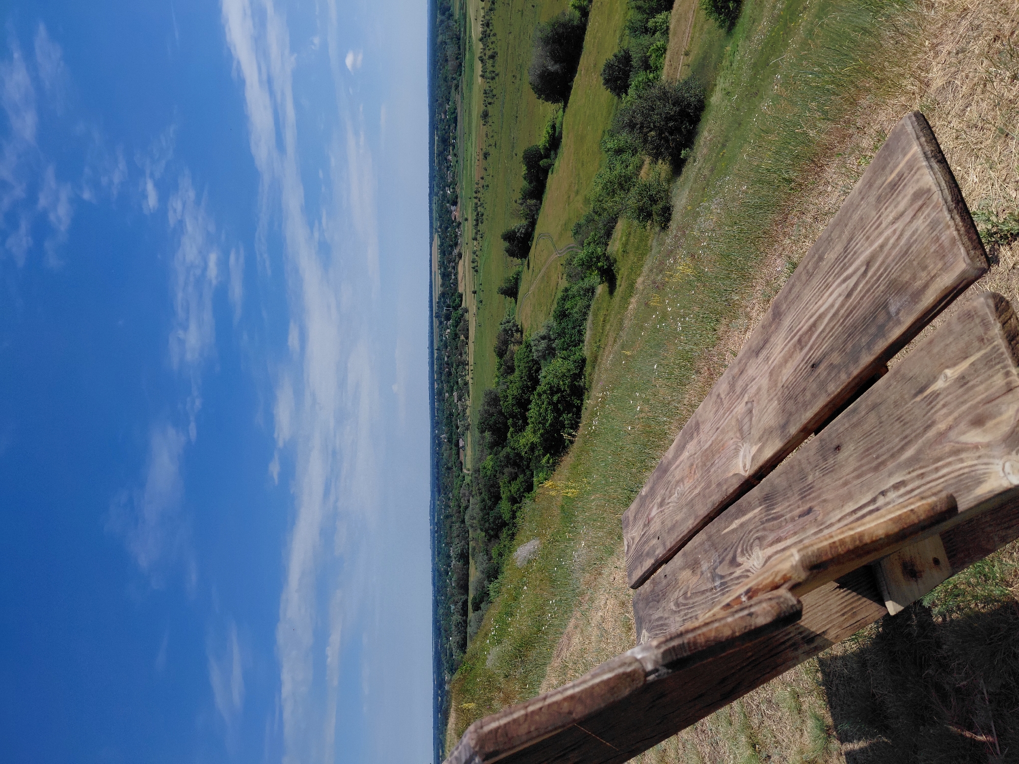 The image shows a weathered wooden bench in the foreground, overlooking a verdant valley with scattered trees and a small village. The sky is a clear blue with a few wispy white clouds. The bench is positioned on a grassy slope dotted with small wildflowers. In the distance, fields of green stretch towards a line of trees, beyond which a cluster of buildings suggests a settlement. A dirt path winds through the fields. The overall scene depicts a serene rural landscape, likely in the outskirts of Ustyvytsia, Ukraine, on a bright, sunny day. There are no people visible in the image.