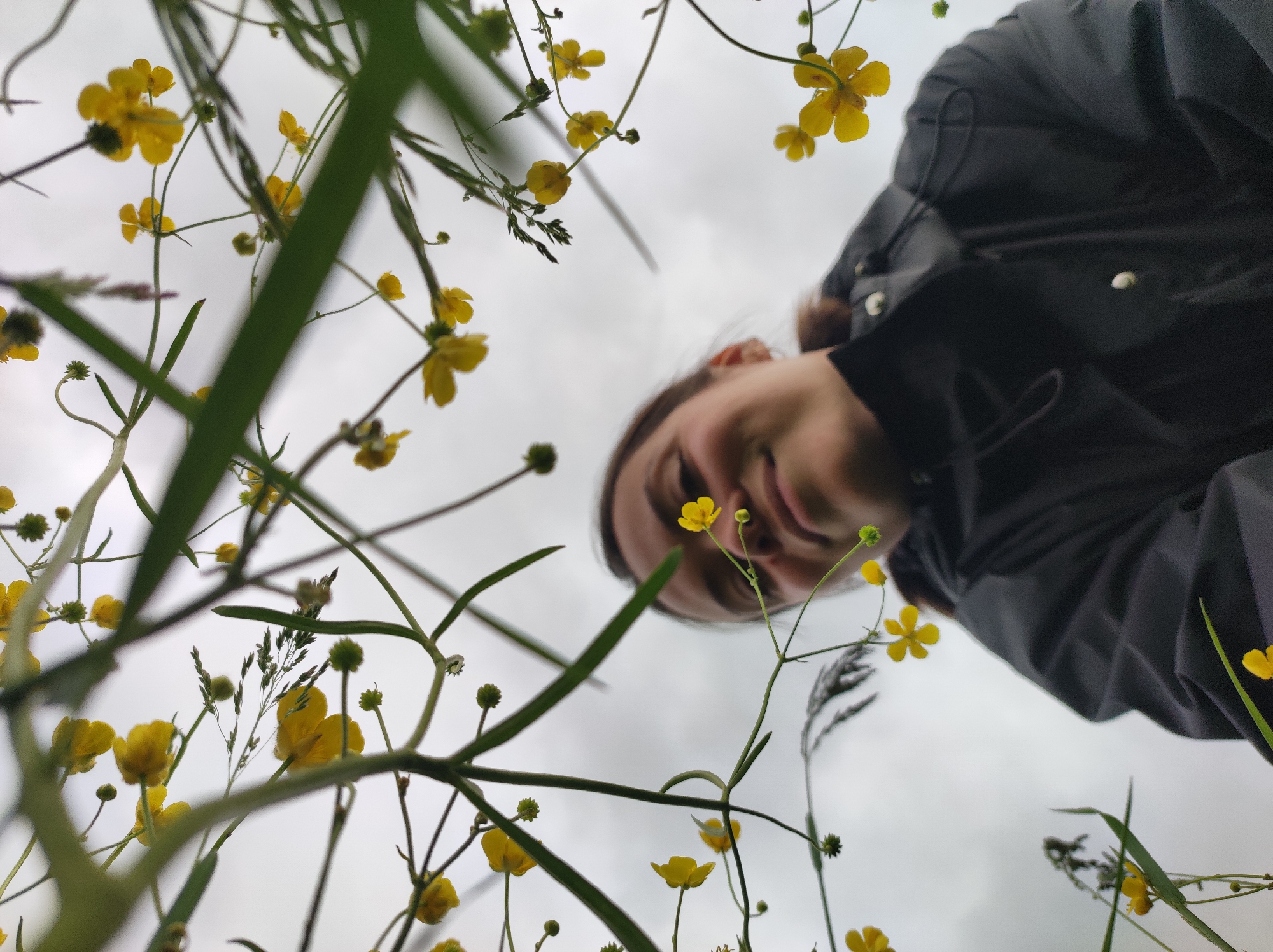 The image presents a unique low-angle view, looking upwards through a dense arrangement of green plant stalks and numerous bright yellow wildflowers against a soft, overcast sky. In the upper right quadrant, a person's face and upper torso are partially visible, angled downwards. The person has brown hair and is wearing a dark, possibly black or dark gray, jacket. A gentle smile plays on their lips, and their eyes are open, conveying an expression of mild amusement or curiosity as they look towards the ground or directly at the lens.
The foreground and midground are filled with small, five-petaled yellow flowers, consistent with buttercups, along with slender green leaves and stems. These plants are in sharp focus, creating a natural frame around the figure above. The background is a uniform, light gray sky, indicating an overcast day with diffused lighting. The setting appears to be an outdoor natural environment, likely a field or meadow rich with wildflowers. No visible text is present in the image. The scene is set in Foki, Russia.