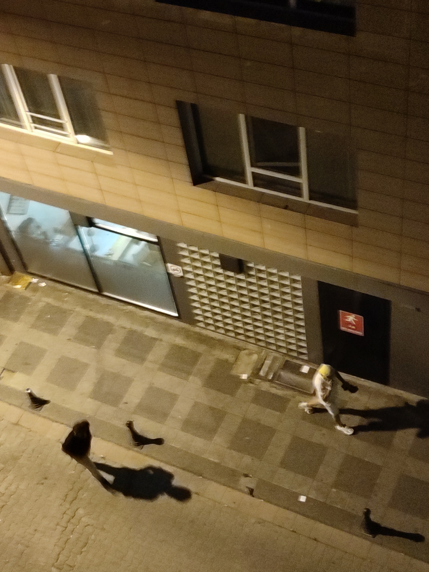 The image depicts an outdoor scene at night in the city of Kadıköy, Turkey. The perspective is from above, looking down onto a tiled pavement and the side of a building.
On the pavement, there are several pigeons. One pigeon is in the lower right quadrant of the image, casting a long shadow. Another pigeon is visible in the middle left, also with a shadow. A third pigeon is in the upper left corner.
In the middle of the scene, a person is walking on the pavement. The person is wearing light-colored clothing, possibly pants and a jacket, and appears to have light-colored hair or a hood. They are casting a distinct shadow on the pavement. To the left of this person, another figure is visible, mostly in shadow, with their shadow also cast on the pavement.
The building in the background has several windows, some of which are illuminated from within, revealing the silhouettes of people. There is a large glass-fronted entrance with a sliding door. A geometric patterned wall feature is present on the side of the building, and a red square sign with a white pictogram of a running person is affixed to a dark rectangular panel, likely indicating an emergency exit.
The pavement is paved with square tiles arranged in a diamond pattern. The overall lighting suggests nighttime conditions, with artificial light sources illuminating the scene.
