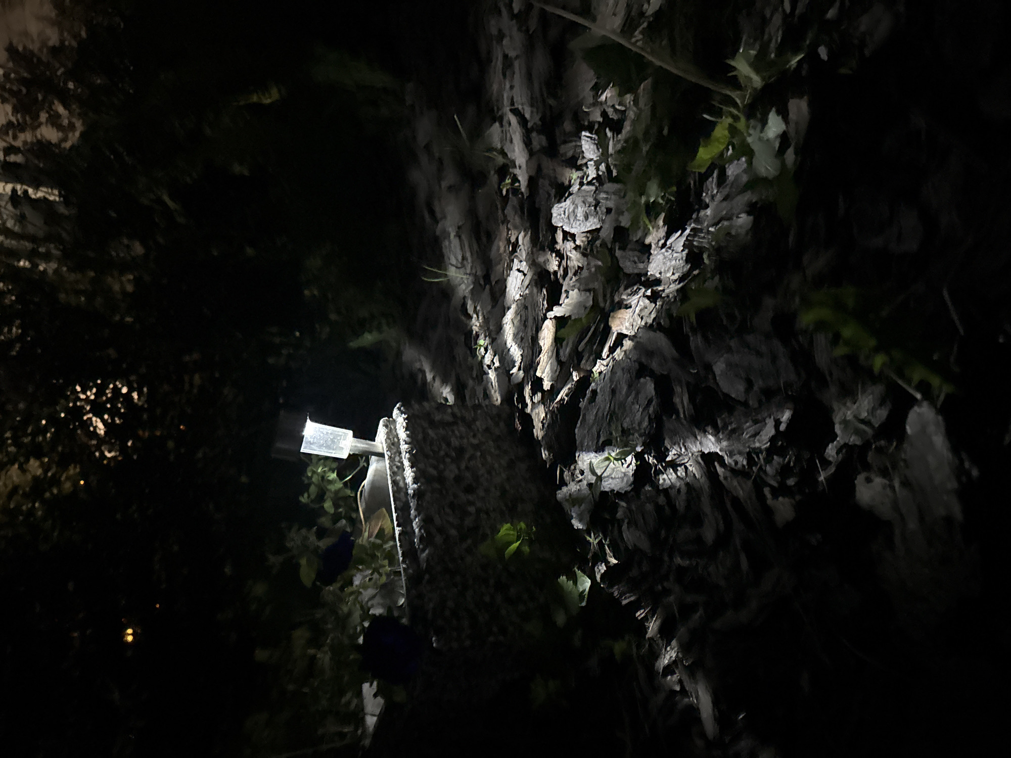 The image depicts a dimly lit garden area at night, presumably in Khomutovo, Russia. A solar-powered garden light illuminates a textured, concrete planter. Scattered on the ground around the planter is a layer of dark-colored mulch and some green foliage. The background is dominated by dark shadows and foliage, with faint specks of light suggesting distant artificial illumination or possibly stars. No individuals or animals are visible in the scene.
