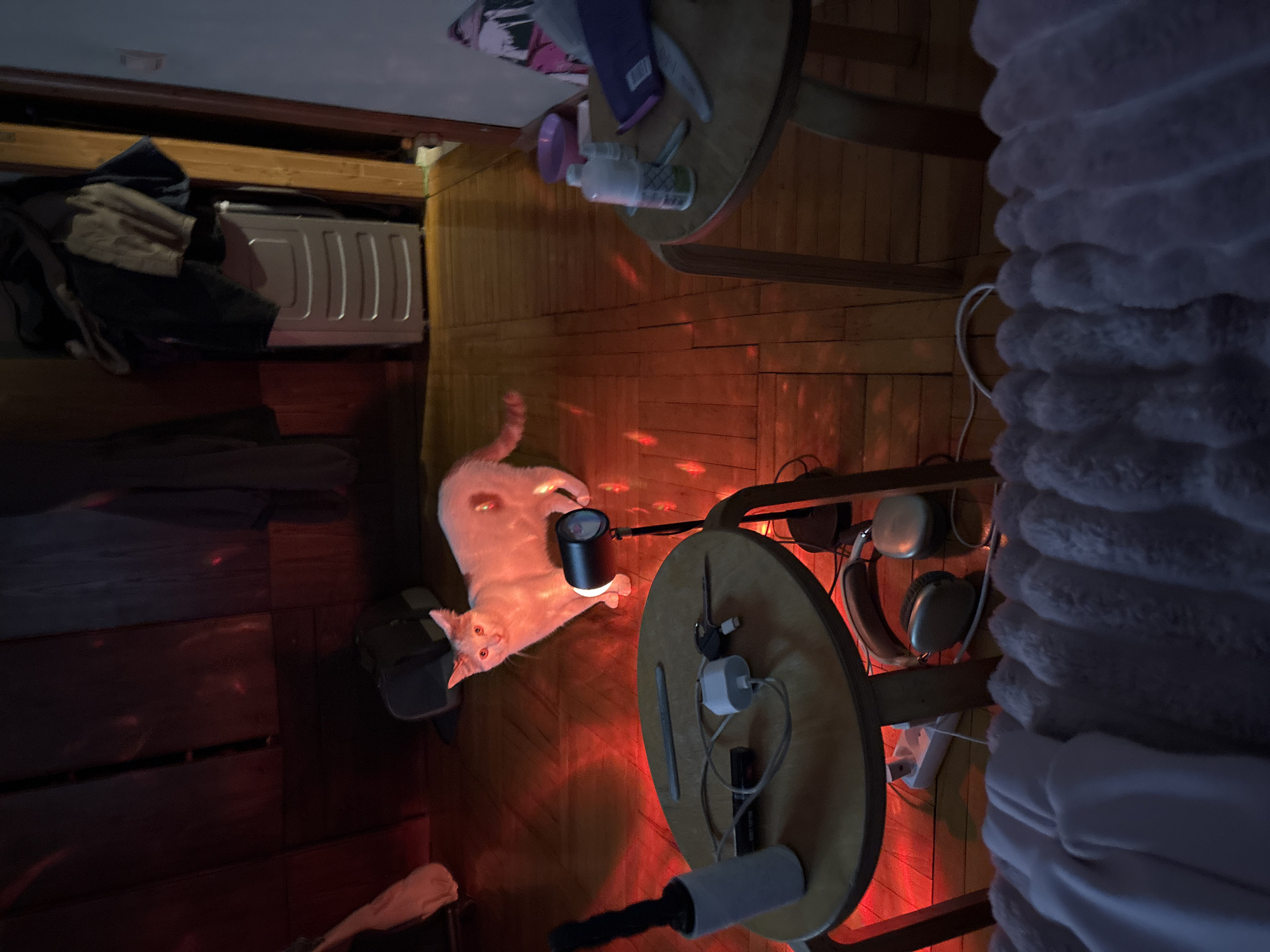 An adult, light-colored cat with orange eyes stands on a wooden floor illuminated by red light from a spotlight on a stand. The cat is facing the camera and appears to be looking directly at it. The spotlight is positioned in front of the cat, casting red light on its body and the surrounding floor. The background is dimly lit, with what appears to be furniture and clothing stacked in a corner. In the foreground, there is a round wooden table with various items on it, including a lint roller, a charger, keys, and a pen. Another round wooden table is visible to the right with cleaning supplies and a small bowl. A fuzzy blanket is draped across the bottom of the image. The scene appears to be indoors, possibly in a residential setting. The overall lighting and red hues create a dramatic atmosphere.