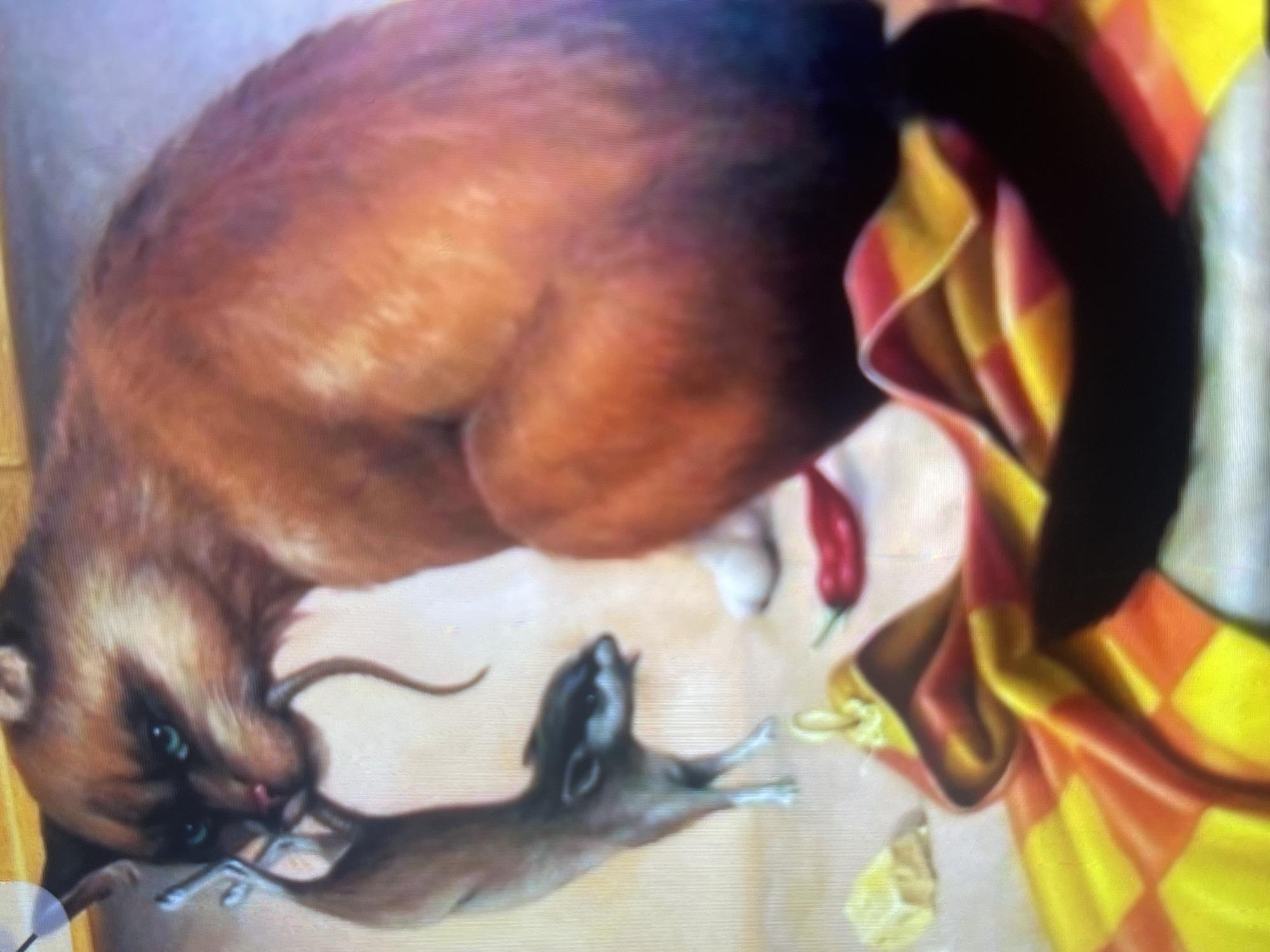 This is a painting depicting a cat holding a small rodent in its mouth. The cat is predominantly orange with darker markings around its face and turquoise eyes. The rodent appears to be grey with dark fur on its head. In the foreground, a red chili pepper and a piece of cheese are visible. A colorful cloth with a checkered pattern of yellow and orange is also present, draped and folded. The background is blurred and light-colored. The image is a still life with animal elements and food. The provided information does not contain any details about the location in Bishkek City, Kyrgyzstan.
