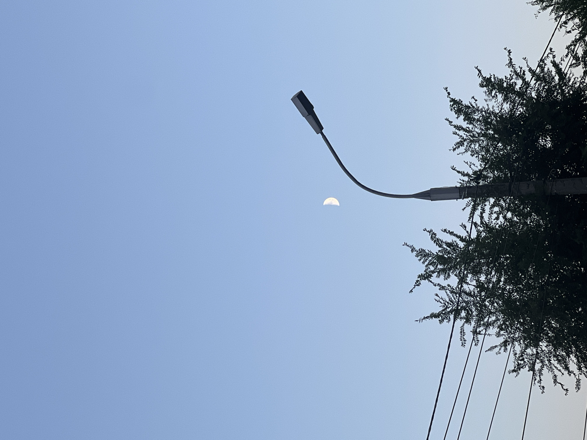 The image depicts a clear, pale blue sky with a crescent moon visible slightly to the left of center. In the foreground, silhouetted against the sky, are the tops of several trees and a streetlamp. The streetlamp has a curved arm extending from a vertical pole, with a dark, rectangular light fixture at the end. Several dark power lines run horizontally across the left side of the image, in front of the trees. The trees appear to be leafy and dense. The overall scene suggests an outdoor setting, possibly during twilight or early morning. Without specific landmarks, pinpointing the exact location within Volgograd, Russia is not possible from this image alone.