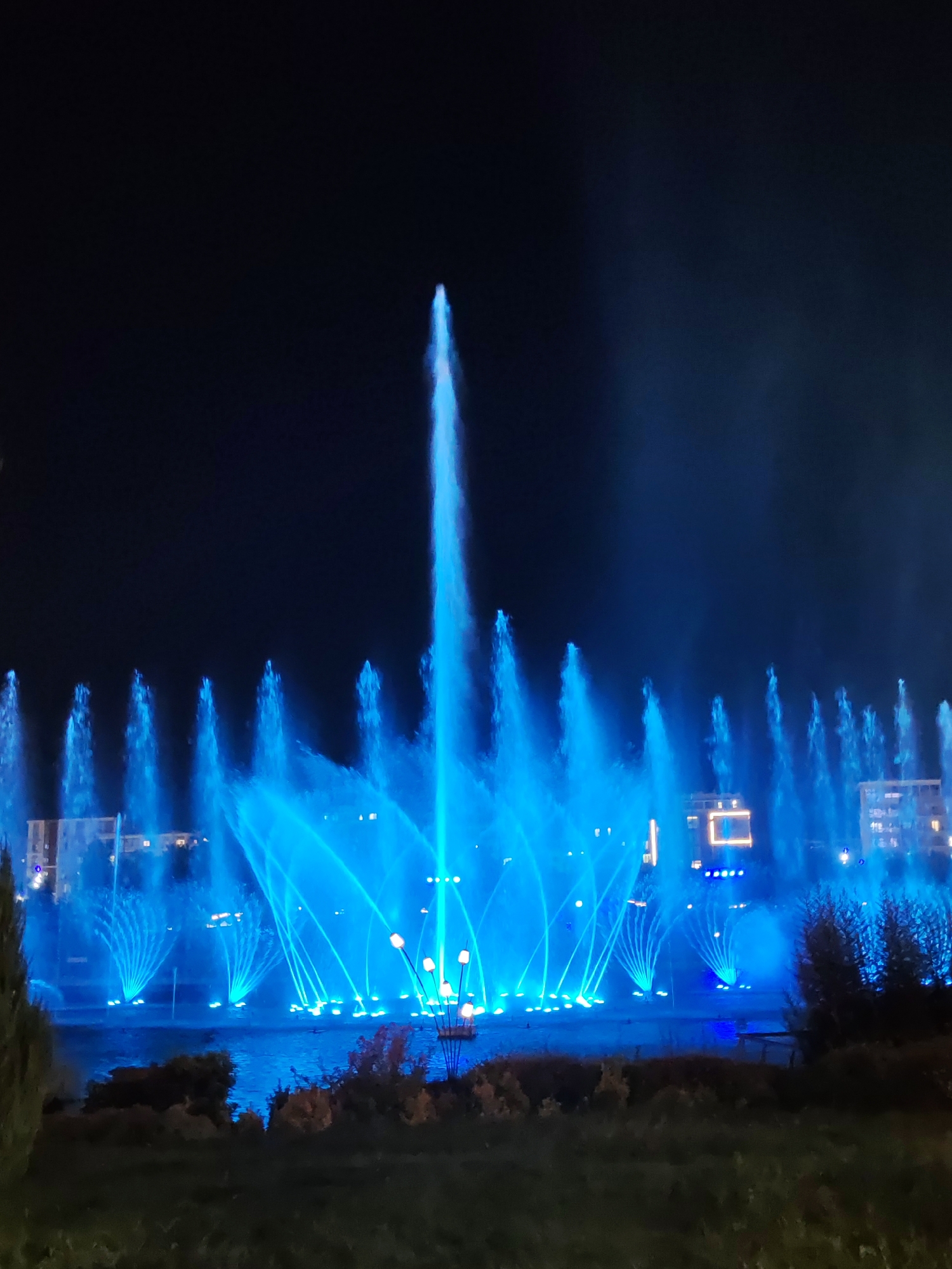 The image depicts a night view of the "Magic Water" Symphony Fountain in Tashkent, Uzbekistan. The fountain is illuminated with vibrant blue lights, creating a spectacular display against the dark sky. Multiple water jets are shown in motion, with a central, tall jet reaching high into the air, while others form various patterns and arches. Buildings, also illuminated, are visible in the background on the shore of the water. In the foreground, dark silhouettes of trees and bushes are visible, with a grassy area in the very front. The overall scene is one of a lively, illuminated public attraction at night.