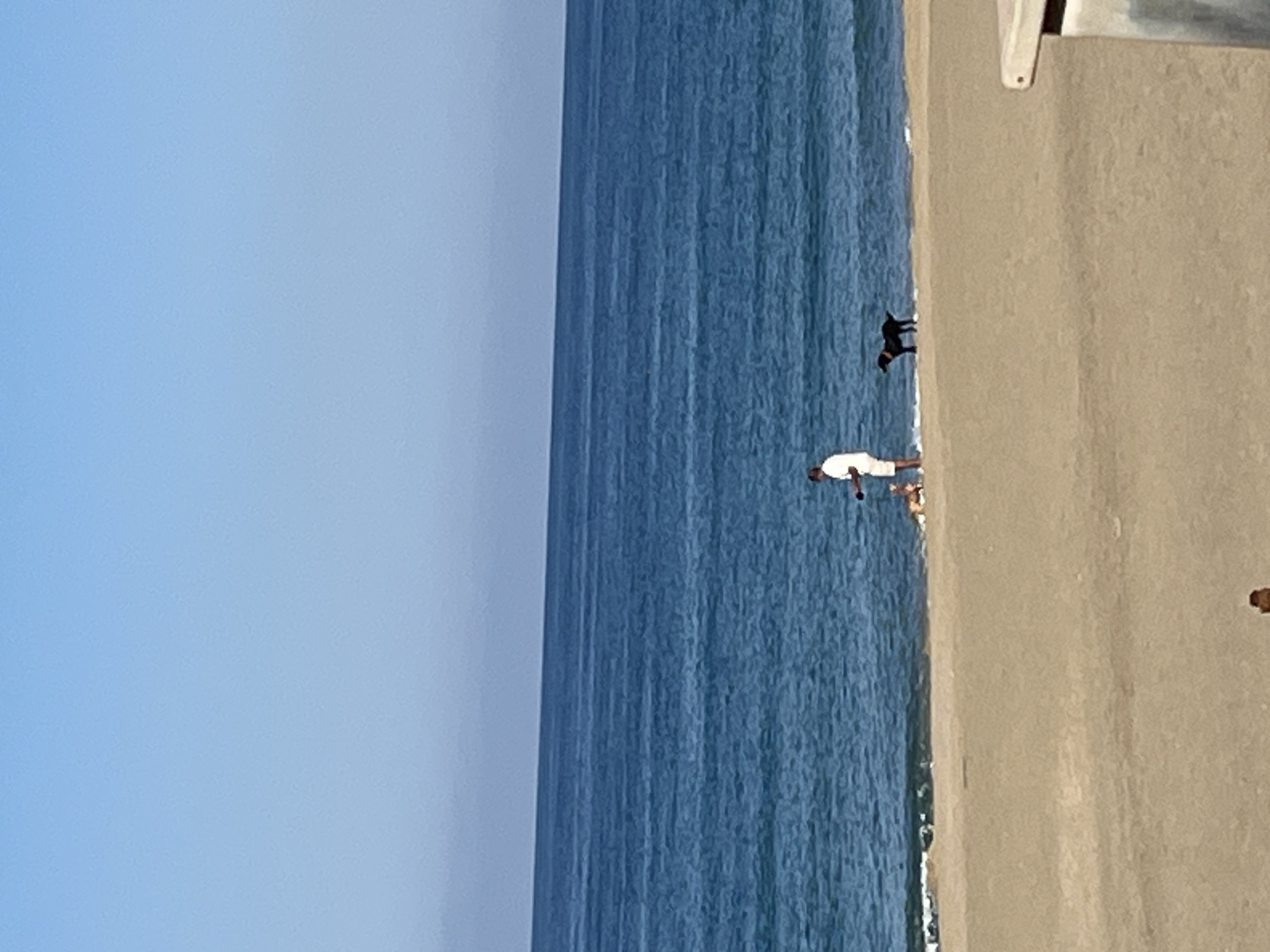 The image depicts a serene coastal scene in Alanya, Turkey, under a clear, bright blue sky that dominates the upper left portion of the frame. A tranquil, deep blue sea stretches horizontally across the middle, showing subtle ripples on its surface, indicating calm conditions. To the right of the sea lies a light brown sandy beach or a paved promenade.
In the foreground, at the water's edge, a person wearing a white t-shirt and light-colored shorts stands in the shallow sea, seemingly wading or enjoying the water. A short distance further into the sea, a dark-colored dog is also present in the water, appearing to interact with the person or explore the surroundings. This suggests a casual and recreational activity taking place, such as a walk or playtime by the shore.
The right side of the image reveals a beige, textured surface, possibly a concrete wall or a wide pathway bordering the beach. A partial white structure, possibly part of a building, pier, or barrier, is visible extending from the top right corner. The bright, even lighting across the scene indicates a sunny day, likely morning or late afternoon, with pleasant weather conditions suitable for beach activities. There is no visible text in the media file.