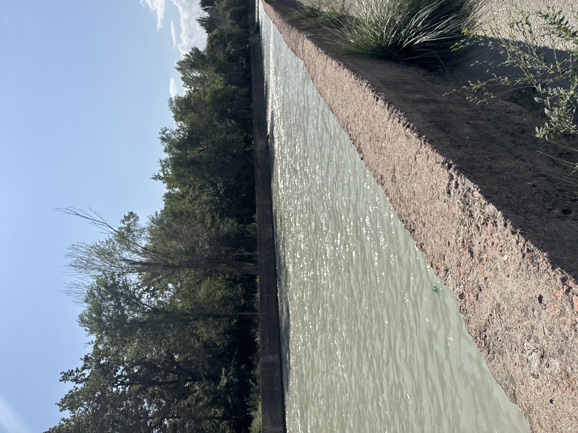 The image shows a canal in Bishkek City, Kyrgyzstan. The canal is lined with a concrete wall on the right side of the frame, which is partially covered with vegetation. The water in the canal is murky and reflects the sunlight. On the left side of the canal, there is a dense line of trees. The sky is blue with some scattered clouds. The overall scene is of an urban waterway surrounded by nature.