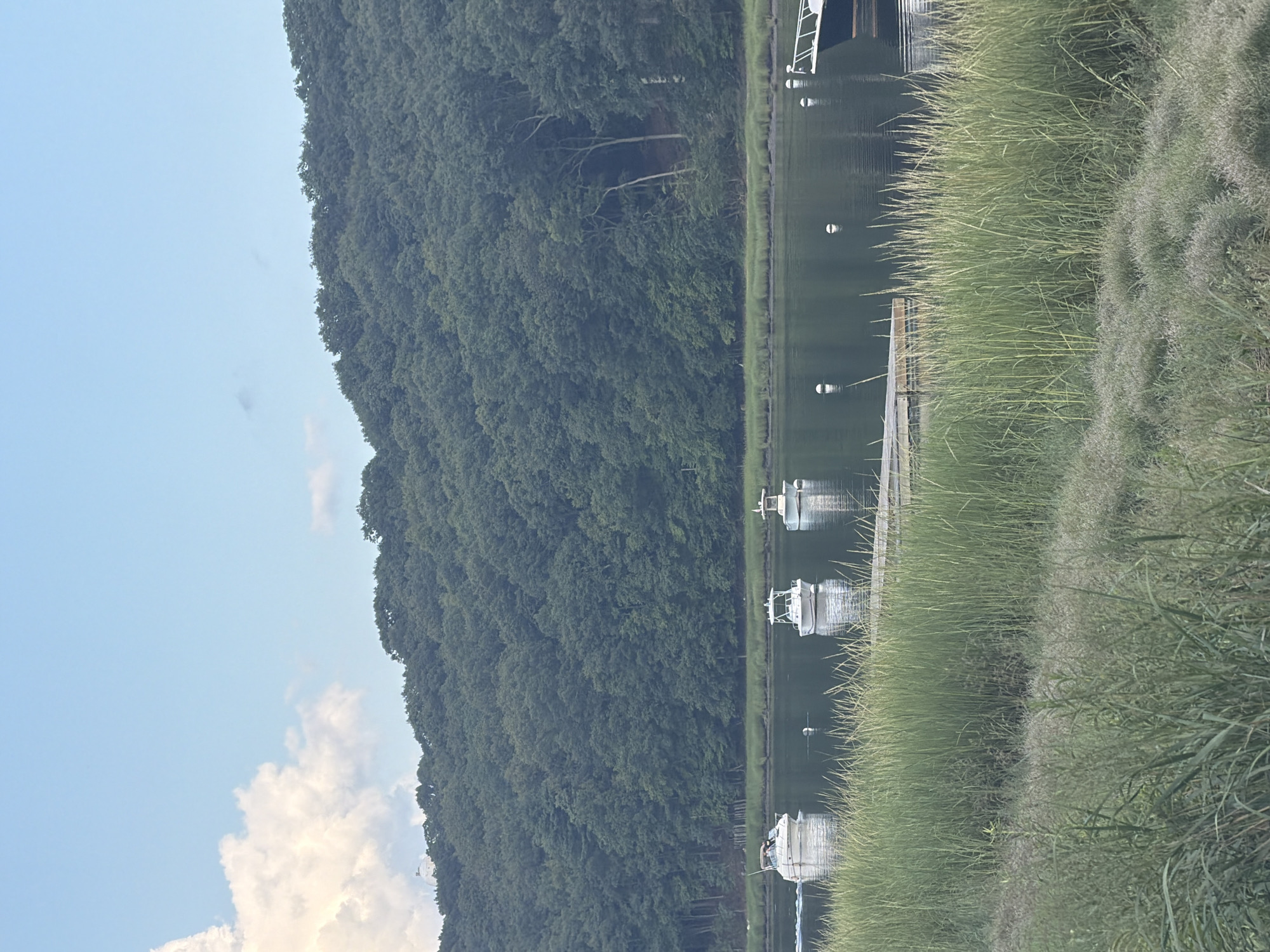 The image shows a body of water with several boats. In the background, a densely wooded hill slopes down to the water's edge. The foreground is filled with tall green grass. The sky above is a light blue with some clouds. On the water, from left to right, there are three white boats, one of which appears to be moving. Further to the right, a portion of a larger boat is visible. There are also several white buoys scattered on the water. A wooden dock or pier is partially visible among the grass on the water's edge. The scene appears to be a serene waterfront view in a natural setting. The location is identified as Village of Bayville, United States of America.