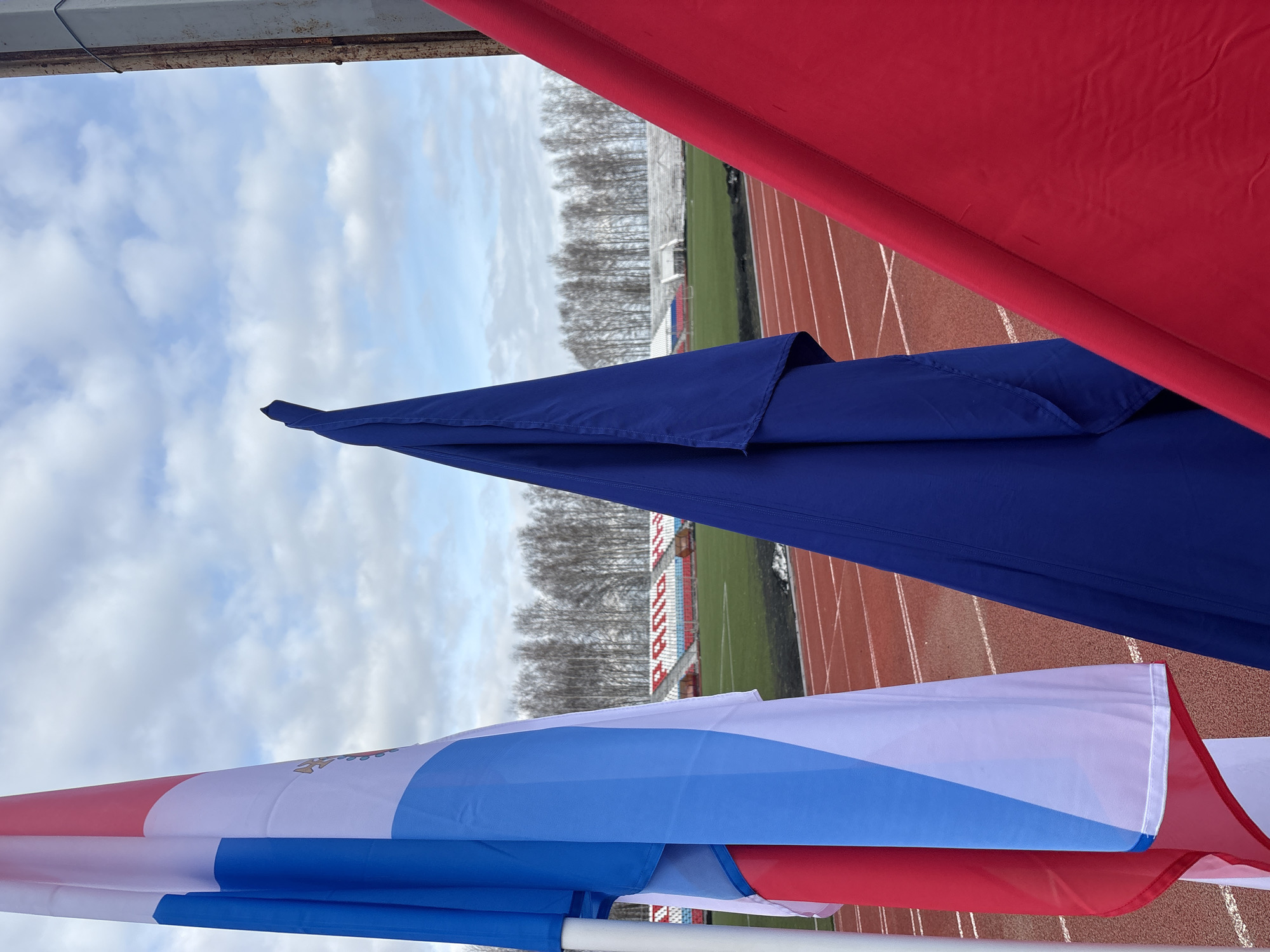 The image shows a view of a stadium in Chaikovsky, Russia, partially obstructed by colorful flags. The foreground features a tri-color flag with red, white, and blue stripes, a solid blue flag above it, and a red flag further to the right. Behind the flags, there is a running track around a green field and a section of stadium seating. Beyond the stadium, a line of bare trees is visible against a cloudy sky. The view is from an elevated position, with a metal structure partially visible at the top left.
