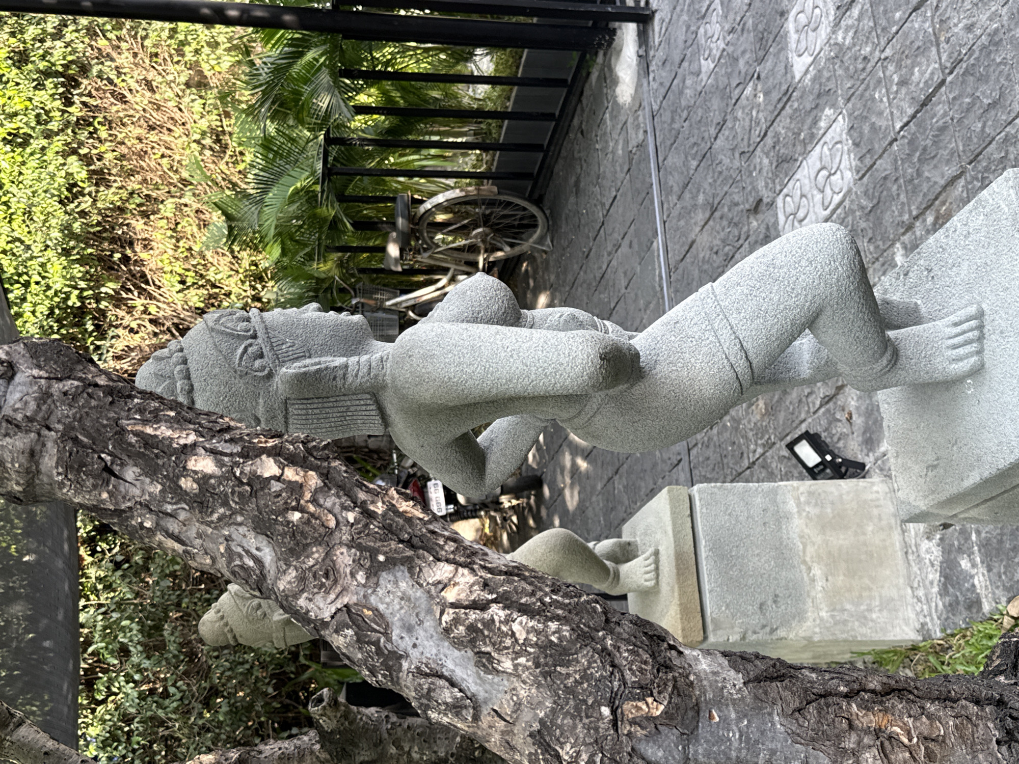 The image shows a stone sculpture of a woman in a dynamic pose, positioned outdoors on a paved patio. The sculpture is a light gray stone, with intricate details on the headdress, facial features, and clothing. The woman's body is sculpted with a pronounced curve, with one hand on her hip and her body tilted to the side. She is standing on a stone pedestal.
To the left of the main sculpture, partially obscured by a large tree trunk, is another stone sculpture, appearing to be of a human figure as well. In the background, there is lush green foliage and palm trees. A black metal fence runs along the right side of the patio, behind which more greenery is visible. A bicycle with a basket is parked near the fence. A motorcycle with a license plate that reads "999 99" is visible further in the background. A small black spotlight is placed on the ground near the pedestal of the main sculpture. The patio is paved with gray interlocking stones, some of which have a floral pattern embedded within them. The scene appears to be well-lit by natural sunlight.
Based on the visual cues in the image, specifically the architecture, foliage, and presence of a motorcycle with a Vietnamese license plate, the location is likely in Vietnam. While a precise address cannot be determined from the image alone, the scene suggests an outdoor garden or courtyard setting, possibly part of a resort, restaurant, or private residence in the city of Nha Trang, Vietnam.