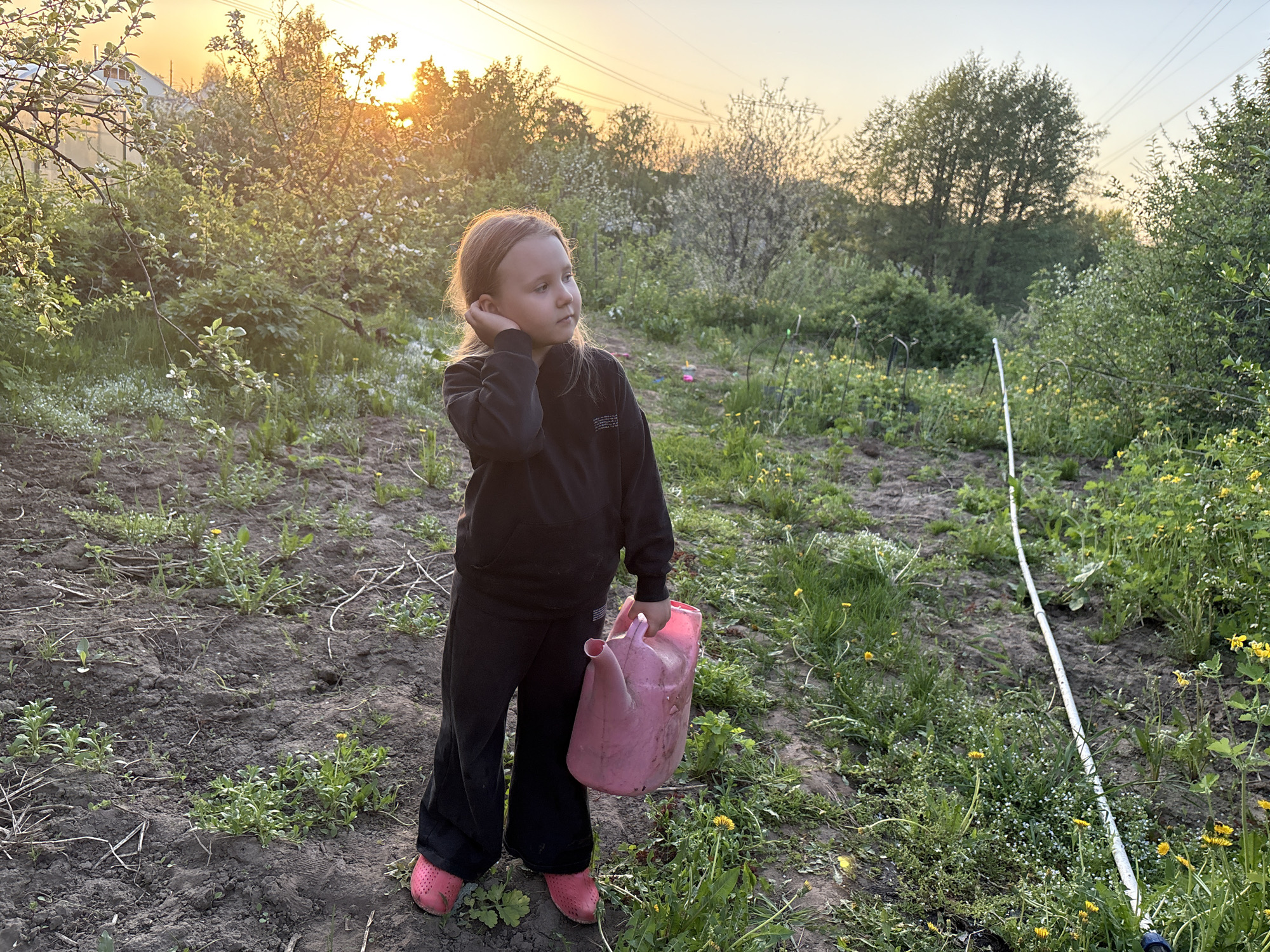 A young girl stands in a field with a pink watering can in her right hand. She wears a black sweatshirt and black pants with pink shoes. Her left hand is raised to her head, touching her ear. The field is a mixture of dirt and vegetation, including dandelions. A white pole lies on the ground to her right. In the background, trees are visible, with a sunset visible through the trees. The location is Chaikovsky, Russia.