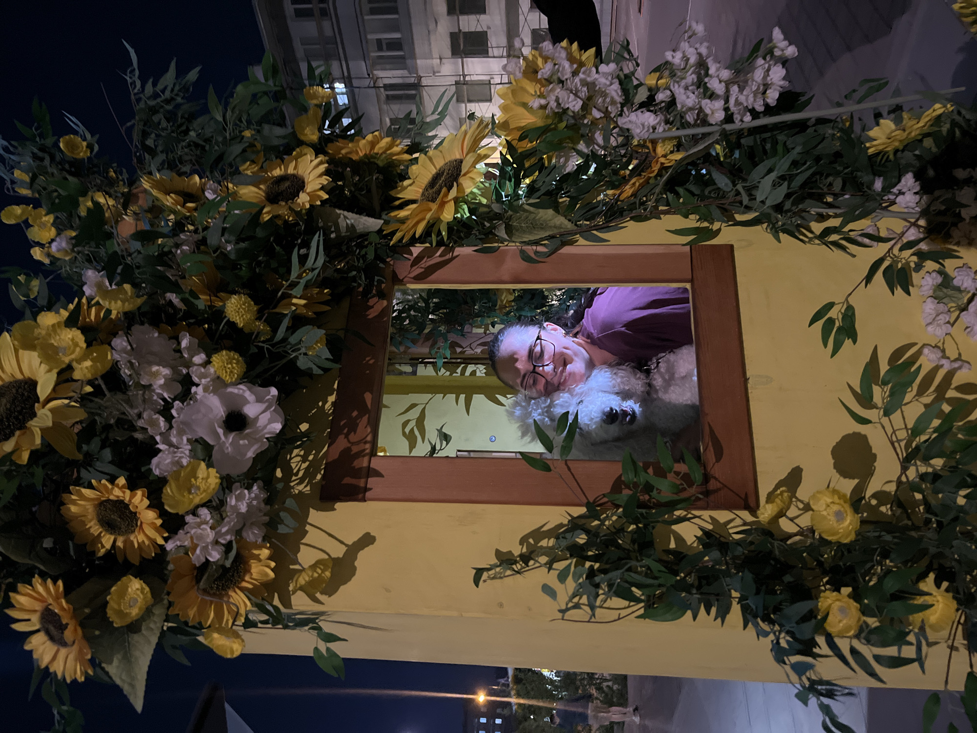 The image shows a young woman wearing glasses and a maroon top, smiling as she holds a white fluffy dog. They are visible through a square opening in a yellow structure adorned with artificial sunflowers and other flowers. The opening has a wooden frame. The background appears to be an outdoor urban setting at night, with some buildings and streetlights visible. There are no identifiable landmarks that would suggest the location is Krasnoyarsk, Russia.