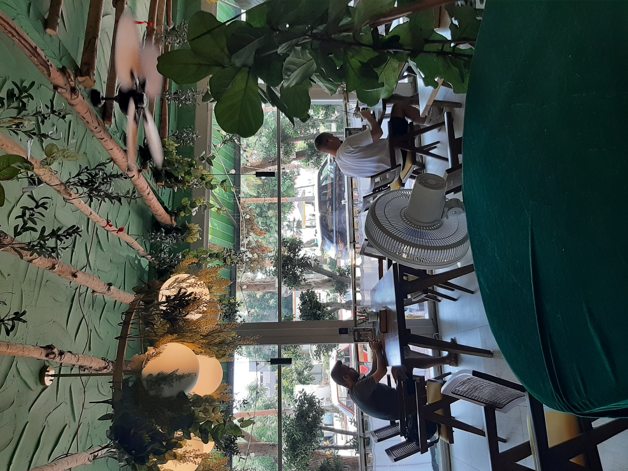 The image depicts the interior of a cafe in Alanya, Turkey, characterized by a bohemian and naturalistic decor. The ceiling is painted green and adorned with artificial vines and branches, resembling a forest canopy, with exposed wooden beams supporting the structure. Hanging lights with white globes are interspersed with more greenery. A ceiling fan, with its blades blurred due to motion, is visible.
In the foreground, a large, dark green velvet-covered table dominates the lower part of the frame, obscuring the view of the floor. To the right, a large-leafed plant is partially visible.
Through a large window that spans much of the background, a street scene is observable, suggesting the cafe is located on a street-level floor. The street appears to be lined with trees and buildings. Cars are visible on the street, including a black SUV and a red car. In the distance, glimpses of a beach and umbrellas can be seen, indicating proximity to the coast.
Inside the cafe, two men are seated at separate tables. The man on the left, wearing a dark t-shirt and shorts, is sitting at a wooden table, looking down at his phone. In front of him are a book and a small pot with a plant. He is seated in a dark wooden chair with a woven seat. The man on the right, wearing a white t-shirt and dark shorts, is seated at a similar wooden table, also looking down at something on the table, possibly a laptop or phone. He is seated in a dark wooden chair with a yellow cushion. A white oscillating fan is positioned on the floor between the two tables.
The overall atmosphere suggests a relaxed and contemporary cafe environment, likely popular with individuals seeking a place to work or socialize.