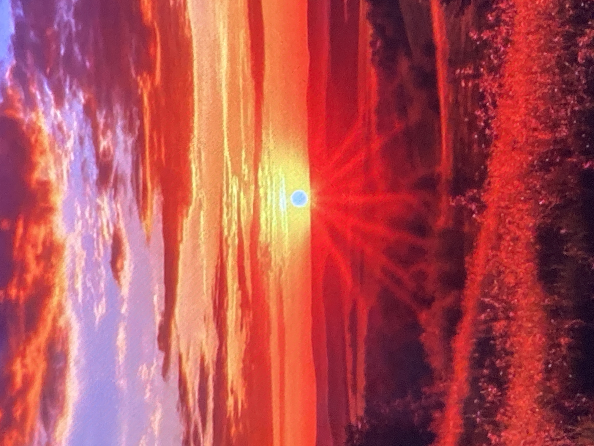 The image captures a vibrant sunset over a rural landscape, likely in or near Ustyvytsia, Ukraine. The sky is a dramatic canvas of fiery reds, oranges, and purples, with streaks of clouds illuminated by the setting sun. The sun itself is a bright, almost luminous orb, casting intense red rays downwards. These rays create a striking visual effect, fanning out across the darkened hills and fields. In the foreground, the vegetation, possibly wild grasses or wildflowers, is bathed in the warm, reddish light, appearing almost incandescent. The overall impression is one of natural beauty and intense color saturation. There are no people or specific man-made objects clearly identifiable in this image, suggesting a natural, unpopulated vista.