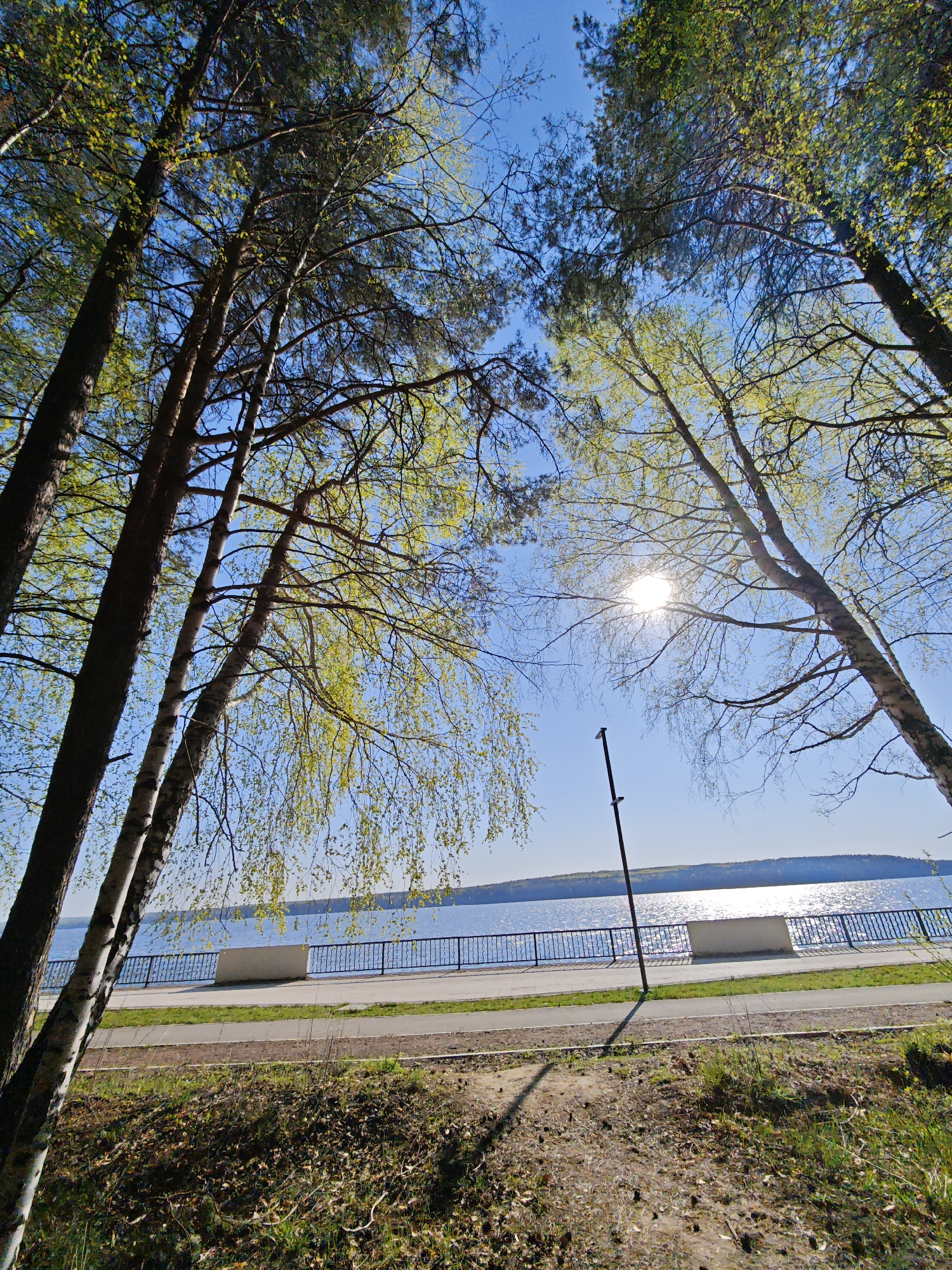The image depicts a view from ground level looking up through trees towards a waterfront area. The location is identifiable as the city of Chaikovsky, Russia due to the lake, waterfront design, and tree types which are typical of the region.
In the foreground, there is an area covered with dirt and some grass. Several trees frame the image, with some showing new leaves indicating springtime.
Behind the trees, there is a paved area with a low fence and several concrete blocks. This paved area runs along the waterfront, which is visible as a large expanse of water reflecting sunlight. In the background, a distant landmass or shoreline can be seen.
A pole is present, casting a shadow on the ground. The sky is clear and blue, with the sun visible through the branches. There are no people visible in the image.