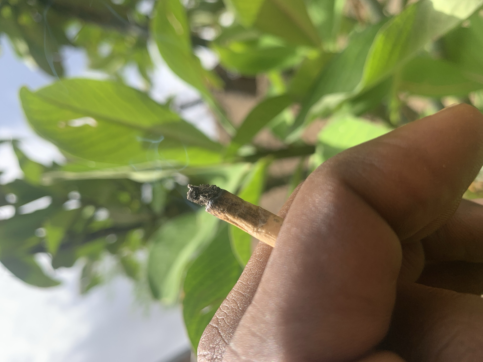 A dark-skinned hand holds a lit, partially smoked cigarette or joint outdoors. Smoke rises from the lit end. Green foliage is visible in the background, along with a glimpse of a partly cloudy sky. No specific details indicate the city of Barakin Akawo, Nigeria.