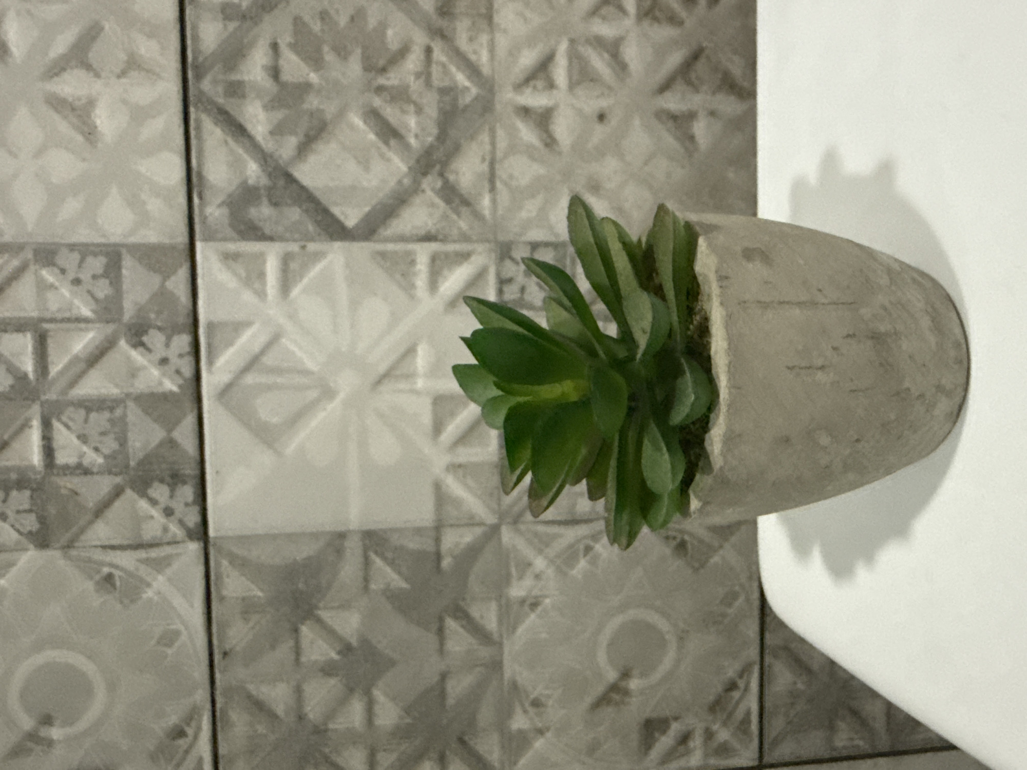 A close-up, eye-level shot shows a small, artificial succulent plant in a gray, concrete pot, positioned on a white surface. The plant is vibrant green with thick, fleshy leaves. The background is a tiled wall with a geometric, grey and white pattern. The lighting is neutral, casting a soft shadow of the pot and plant onto the white surface. There are no people present, and no actions or interactions are depicted. The scene appears to be indoors, possibly in a home or business, and there is no contextual information to place it in Tbilisi, Georgia.