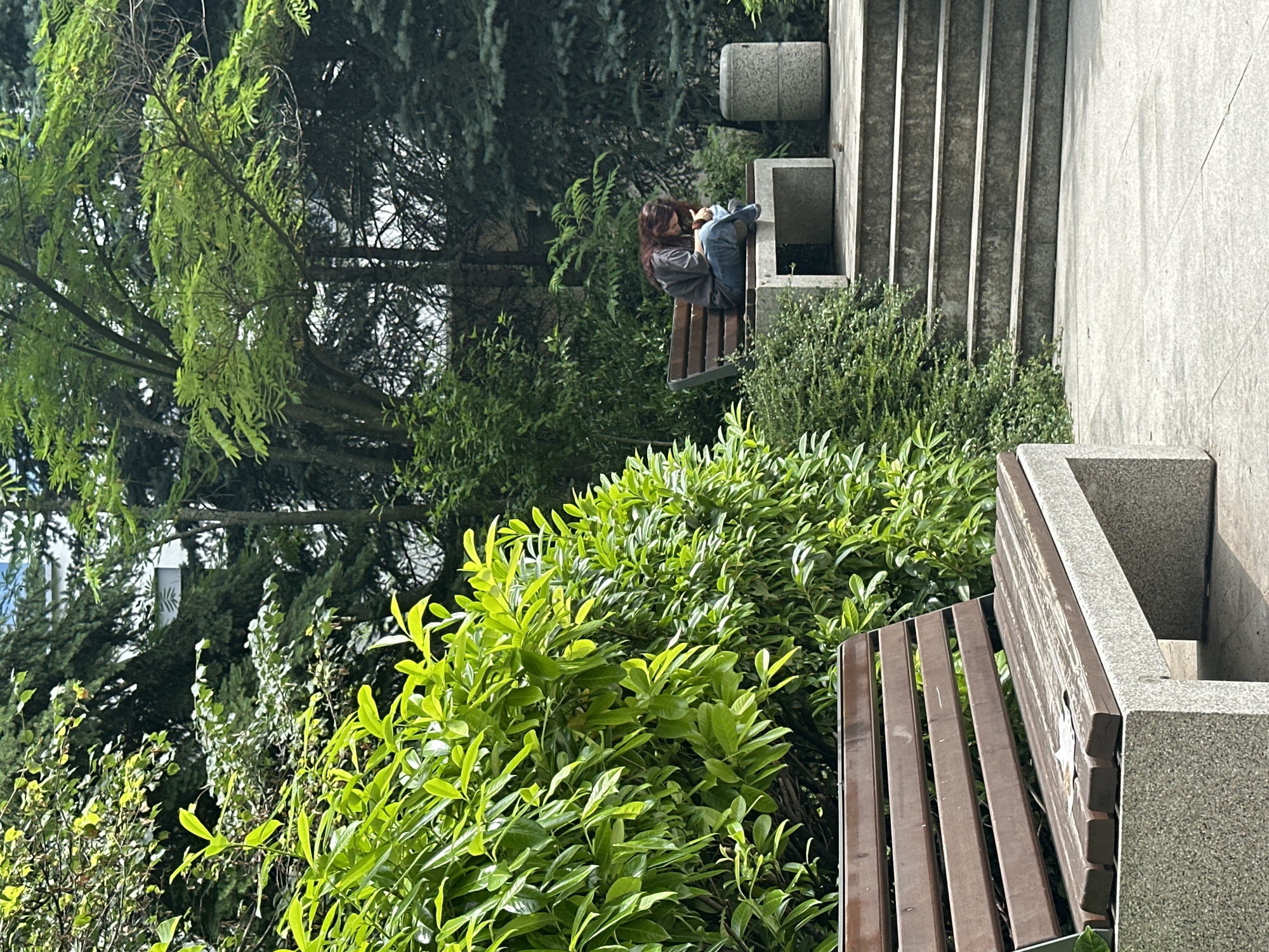 The image depicts a person sitting on a wooden bench in a park-like setting. The person, who appears to be young, has long, dark hair and is wearing a gray t-shirt and blue jeans. They are curled up on the bench, holding something in their hands, possibly a phone or a book. The bench is situated next to a concrete structure with stairs, suggesting an outdoor urban environment. Lush green foliage, including trees and bushes, surrounds the bench and the stairs, indicating a pleasant, possibly spring or summer, day. The lighting suggests it is daytime, likely mid-morning or afternoon. The overall mood seems peaceful and contemplative, with the person appearing relaxed and absorbed in their activity. There is no visible text in the image. The scene is likely in Sofia, Bulgaria, given the location context.