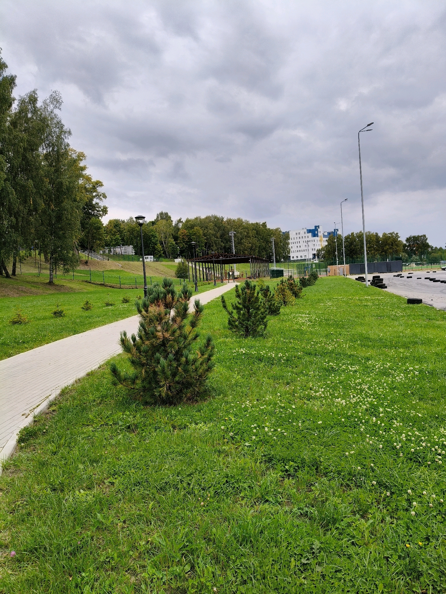The image shows an outdoor park area on a cloudy day in Naro-Fominsk, Russia. A paved walkway curves through a grassy area with small evergreen trees planted along its edge. In the background, there is a line of trees, a building with blue and white accents, and several lampposts. To the right, there appears to be a track or open area with black tires placed on the ground. The environment is largely green with a cloudy sky overhead. There are no people visible in the scene.