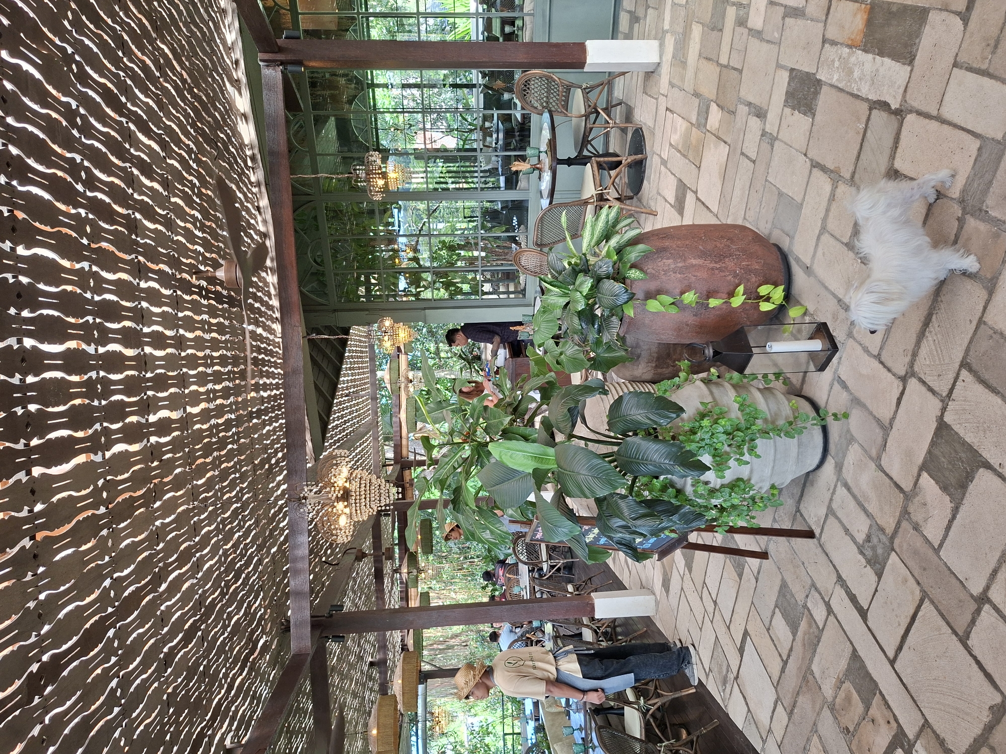 The image depicts a scene in Ubud District, Indonesia, showing an outdoor dining area of a restaurant or cafe. A white dog lies on the brick-paved floor near two large potted plants, one brown and one white. In the background, a server stands near tables, while other patrons are seated inside. Overhead, a decorative roof structure with a latticed design filters sunlight. Chandeliers hang from the ceiling. The environment is lush and green.