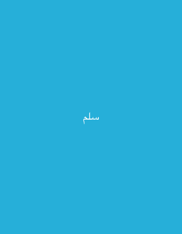The image presents a minimalist digital graphic with a solid blue background. Centered horizontally and positioned slightly below the vertical midpoint is the Arabic word "سلم" (salim/salam), rendered in white, unornamented script. The word translates to meanings such as "peace," "safe," or "hello" depending on vocalization and context. No individuals, additional objects, or discernible environmental features are depicted. The image does not contain any visual information to suggest a specific geographical location, including the city of Casablanca, Morocco.