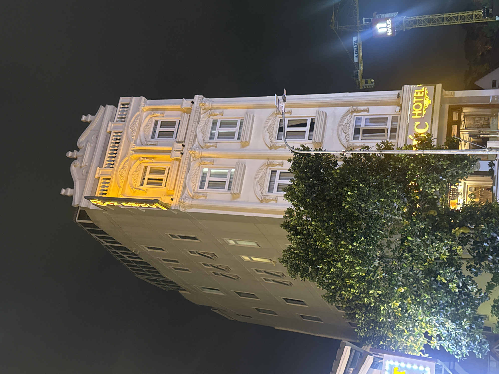 This is a nighttime, low-angle, eye-level shot of a modern, multi-story hotel building in Da Lat, Vietnam. The building's facade is predominantly white with ornate, classical-style architectural details and is illuminated by warm, yellow lights from signage and window lighting. On the left side of the building, a dense, dark green tree with visible fruit obscures a portion of the lower floors. A streetlamp with two lights stands in front of the tree and the building. The building's signage at street level reads "TIC HOTEL" in glowing yellow lettering. In the background, a large yellow construction crane with "DELTA" printed on its arm is visible, with a lit sign on its tower that says "HAUS". The sky is dark, indicating nighttime. The overall impression is of a well-lit urban commercial building against a dark backdrop with ongoing construction nearby.