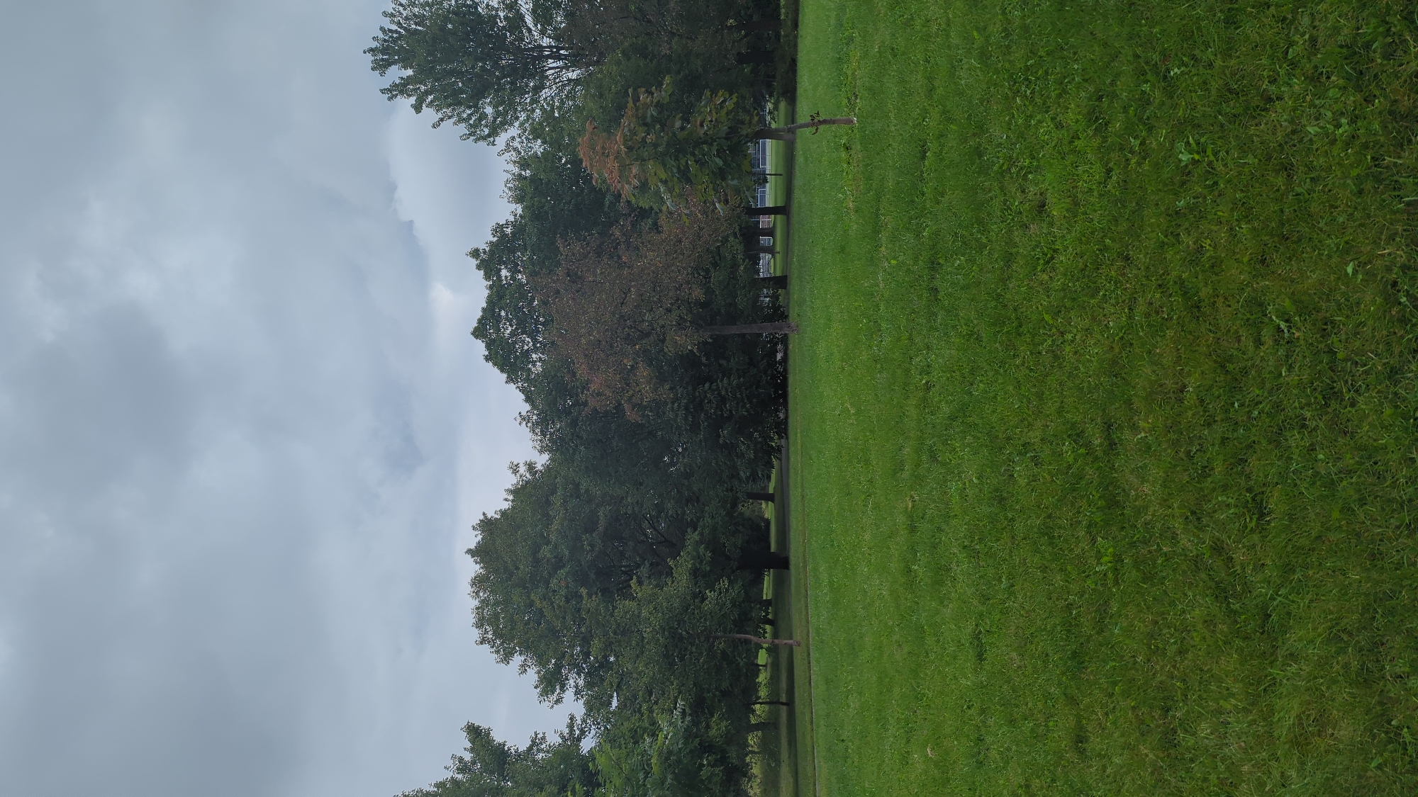 A naturalistic, overcast scene unfolds in a park, likely within the city of Montreal, Canada, as suggested by the presence of dense deciduous trees and manicured grass typical of urban green spaces. The foreground is dominated by a lush, green lawn, appearing well-maintained and slightly uneven, with scattered patches of darker growth.
In the mid-ground, a line of mature deciduous trees forms a dense canopy, their leaves a vibrant green, indicating a summer or early autumn setting. The foliage is thick, obscuring much of the background and creating a sense of depth. A few younger trees are interspersed among the older ones, with some exhibiting subtle hints of browning or autumnal color change.
The sky above is a uniform, muted grey, with a heavy overcast that diffuses the light and suggests an impending or recent rainfall. The overall atmosphere is calm and still, with no discernible movement or activity within the frame. There are no people or animals visible in the scene, lending it a quiet, solitary feel. The composition is horizontal, with the treeline creating a natural horizon across the middle of the image, separating the grassy expanse from the sky.