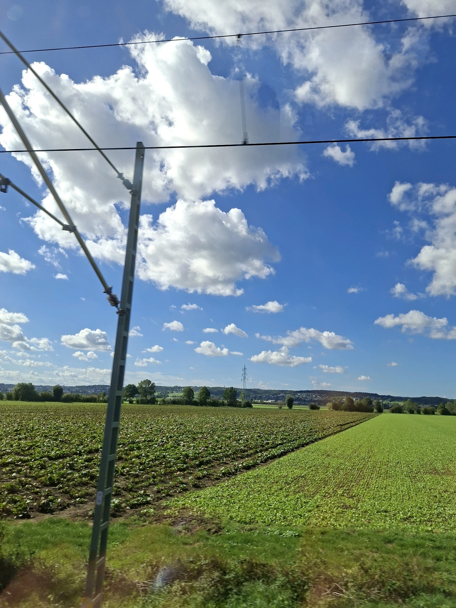 The image depicts a view from a train window in Wesseling, Germany, on a bright, partly cloudy day. In the foreground, a portion of the train's electrical overhead line system is visible, with a pole and wires running horizontally across the frame. Beyond the wires, a landscape of agricultural fields stretches towards the horizon. The fields are diverse, with one section showing rows of leafy green crops and another appearing to be a younger, denser crop of bright green vegetation. In the distance, a small town or village is nestled among trees and rolling hills. A solitary transmission tower stands against the blue sky with scattered white clouds. The overall impression is of a sunny rural scene viewed during daytime travel.