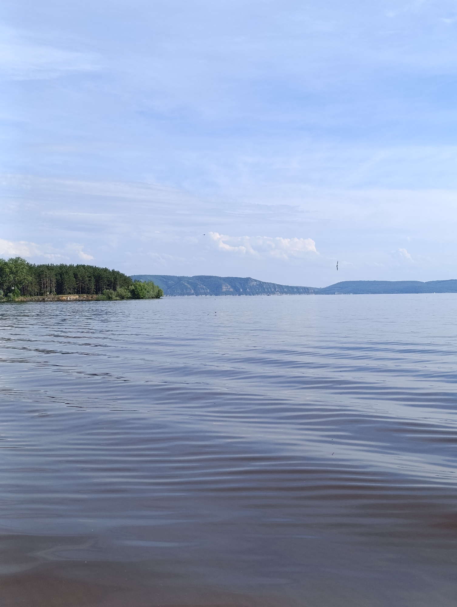 A wide shot captures a serene body of water, likely a river or large lake, under a pale blue sky with scattered wispy clouds. In the distance, rolling hills covered in dense green trees form the horizon. On the left, a lush, dark green forest borders the water's edge, with a sandy bank visible in places. The water's surface is rippled, creating a textured pattern of light and shadow. Several small, dark birds are captured in flight over the water and the distant landscape. The overall impression is one of natural tranquility.