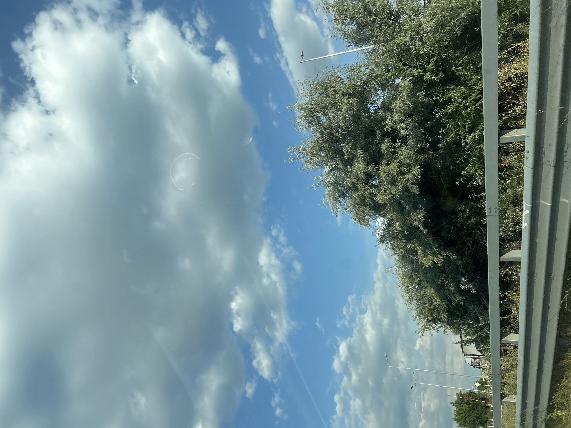 The image depicts a view from a car traveling along a road, looking upwards and to the side. The primary subjects are the sky, clouds, and trees. The sky is a vibrant blue, dotted with fluffy white clouds, suggesting a clear and sunny day. The time of day appears to be daytime, likely late morning or afternoon, given the brightness of the sun.
To the right of the frame, a dense canopy of green trees fills a significant portion of the image, their leaves creating a textured, almost feathery appearance. Behind the trees, a roadside barrier, likely made of metal, runs parallel to the road. Beyond the barrier, the ground appears dry and covered with sparse vegetation, hinting at a warm climate.
In the distance, beyond the trees, one can see glimpses of what appear to be streetlights and possibly some vehicles, including what looks like the top of a truck. The presence of these elements, along with the road barrier, indicates the scene is taking place near a road or highway.
There are a few notable details in the sky: a thin, dark object, possibly a bird or a kite, is suspended against the blue. Also, a circular, iridescent smudge is visible on the left side of the frame, which might be a reflection or a water droplet on the car's window.
The overall mood of the image is peaceful and serene, capturing a typical roadside view on a pleasant day. There is no visible text in the image. The location context provided is Radinovo, Bulgaria, which aligns with the natural landscape and infrastructure depicted.