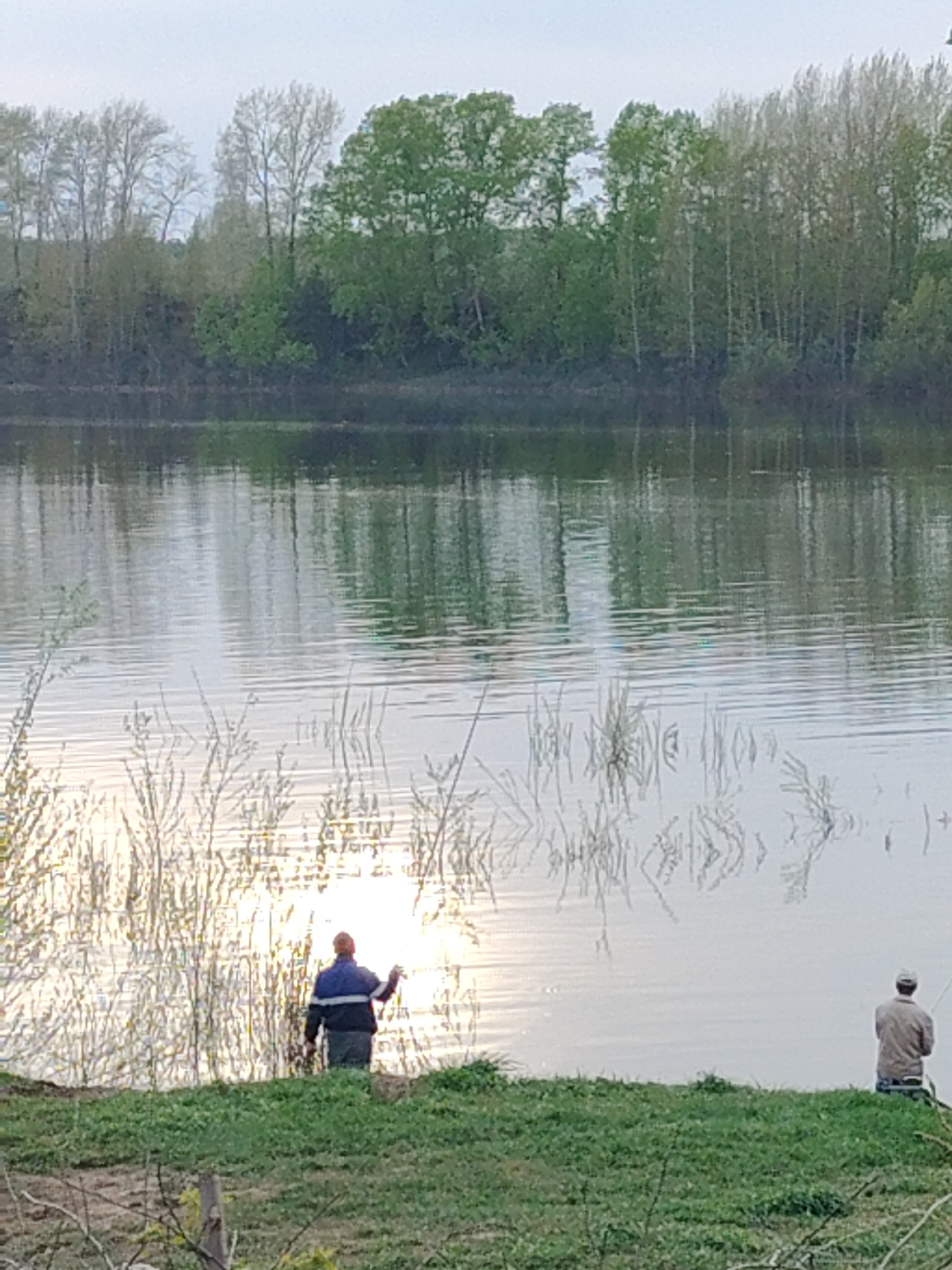 The image depicts an outdoor scene featuring a body of water, likely a river or a large lake, with two individuals engaged in fishing. The location appears to be a natural setting with trees lining the opposite bank. The exact location in the city of Unknown, Unknown cannot be determined without additional information.
One individual is standing at the water's edge, wearing a dark jacket with lighter stripes on the sleeves and dark pants. He is holding what appears to be a fishing rod and seems to be casting a line or adjusting the equipment. The other individual is sitting on the grassy bank, also holding a fishing rod, with a hat on.
The environment includes grass on the immediate bank, reeds or tall grasses growing in the water near the shore, and trees in the background. The water reflects the sky and the trees, creating a mirrored effect. The lighting suggests it is either early morning or late afternoon.