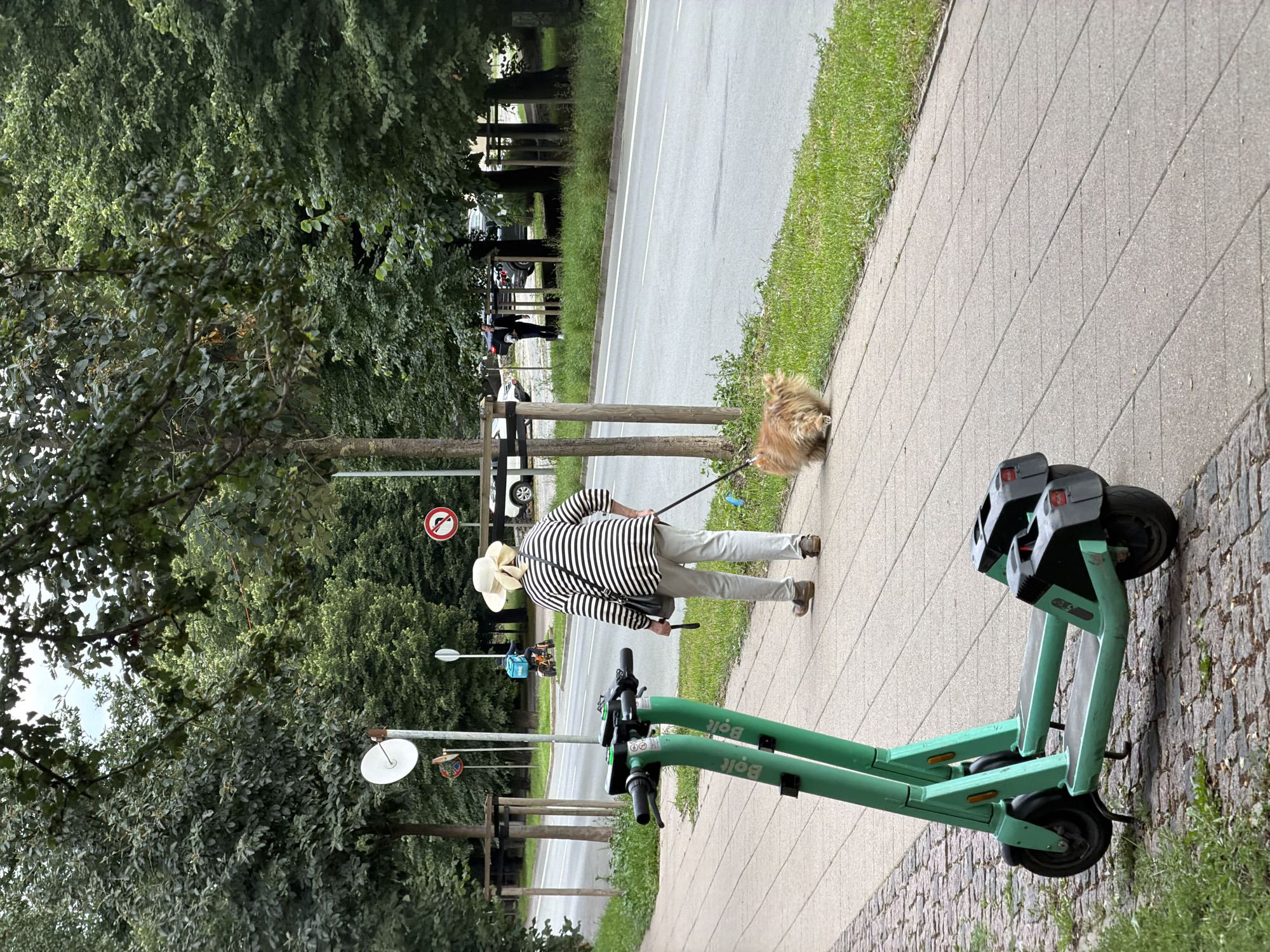 An elderly woman wearing a wide-brimmed straw hat and a striped sweater is walking a fluffy, light brown dog on a leash along a sidewalk. The sidewalk is paved with large concrete tiles, bordered by cobblestones on the left and a strip of grass on the right. In the foreground, two green electric scooters are parked, one in front of the other, with "Bolt" branding visible. The woman is walking away from the camera towards the right of the frame. Behind the sidewalk, a road runs parallel, with a lane of traffic visible. Beyond the road, there is a line of trees and some parked cars. In the background, various traffic signs are visible, including one with a red circle and a diagonal line, indicating "no entry" or a prohibition. The environment appears to be a moderately populated urban area with green spaces and a paved road. The presence of electric scooters suggests a city that embraces modern transportation options. The image is taken outdoors in daylight, with an overcast sky contributing to a diffused lighting condition.