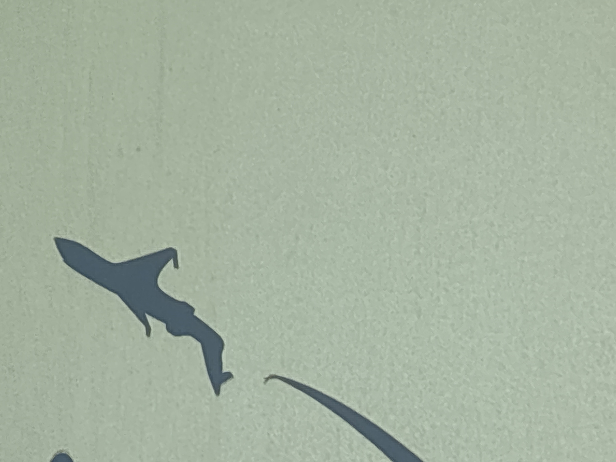 A dark blue silhouette of a stylized airplane is depicted against a pale green, textured background. The airplane is in mid-flight, with its wings angled upward and tail fins extended. A curved, swooshing line, also in dark blue, trails from the lower left corner of the image, appearing to represent a contrail or a graphic element accompanying the airplane. The overall scene is abstract and minimalistic, with no discernible urban or natural environment elements. This image has no relation to the city of Ob, Russia.