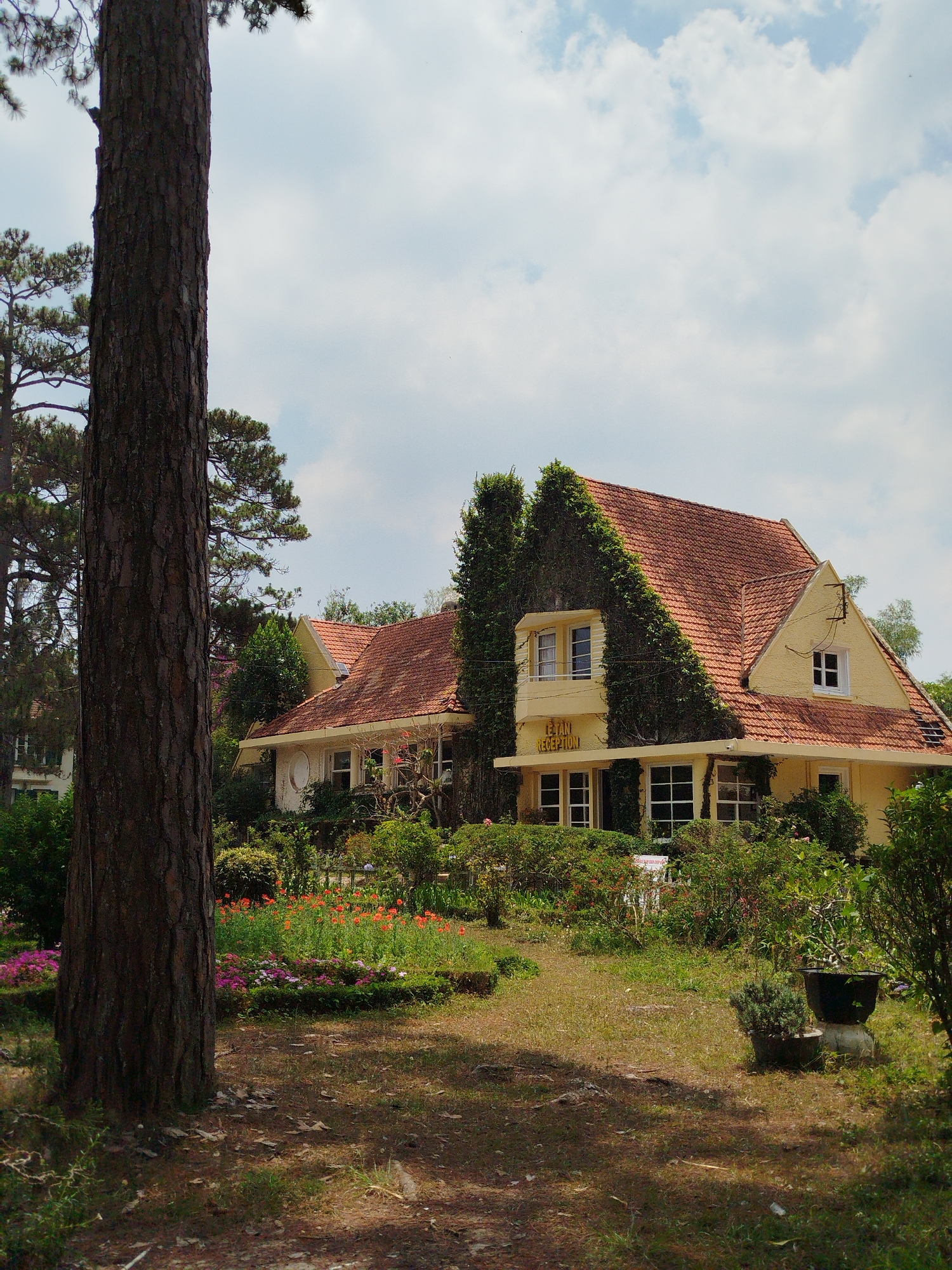 The image depicts a building partially obscured by a tall tree in the foreground, likely located in Da Lat, Vietnam. The building, constructed with a yellow exterior and a red tile roof, is partially covered with climbing greenery. The word "Reception" is visibly marked on the front of the building. A well-tended garden with a variety of flowers and foliage is situated in front of the building. The sky is overcast with scattered clouds. The image appears to be taken during the daytime.
