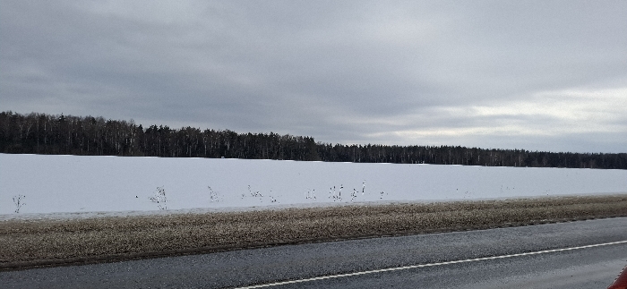 A winter landscape near Minino, Russia, is depicted under an overcast grey sky. The foreground shows a dark asphalt road with a partial white lane marking on its right edge. Immediately adjacent to the road is a band of brown, dry vegetation or exposed earth. Beyond this, a flat, uniform field covered in white snow extends to the tree line. Sparse, dark plant stalks are visible protruding from the snow in the lower midground. The horizon is defined by a dense, dark forest consisting of a mix of deciduous and coniferous trees. No human figures or activities are present within the frame.