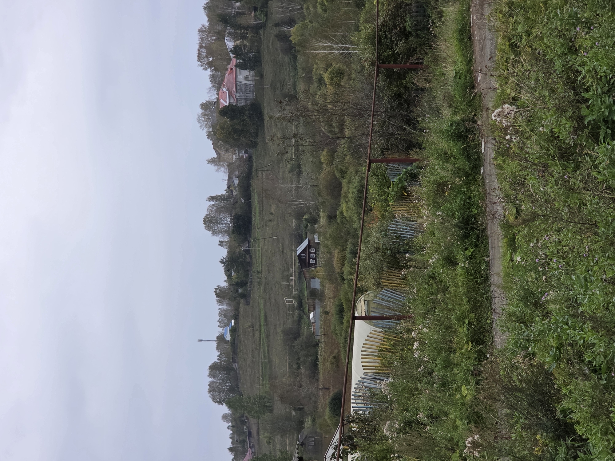The image shows a rural landscape under an overcast sky. In the foreground, there is thick green vegetation with some white flowers and a metal fence with multi-colored vertical planks. A dirt road runs through the vegetation. In the middle ground, there are several buildings and trees. One building is a dark wooden house with multiple windows and a light-colored roof, positioned on a gentle slope. Another building appears to be a greenhouse or a covered structure with a white roof. Further in the background, a hill is covered with trees and some scattered houses. A cellular tower is visible on the highest point of the hill. The overall scene depicts a village or a rural settlement in Russia, likely Magnitka, Russia, given the context, characterized by natural greenery, traditional housing, and common rural infrastructure.