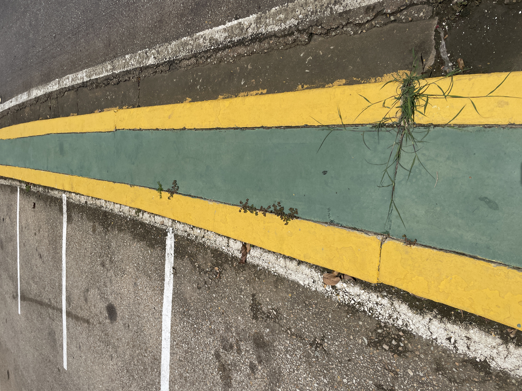 The image shows a section of asphalt with white parking lines on the left side. Adjacent to the parking area is a raised curb, painted with a yellow stripe on its top surface and a green stripe on its vertical face. Beyond the curb is a strip of dark, cracked asphalt, bordered by a white painted line on the far right. Patches of grass are growing through cracks in the curb and along the edges of the painted stripes. The scene appears to be an outdoor parking area. There are no people or animals visible in the image. The lighting suggests it is daytime.